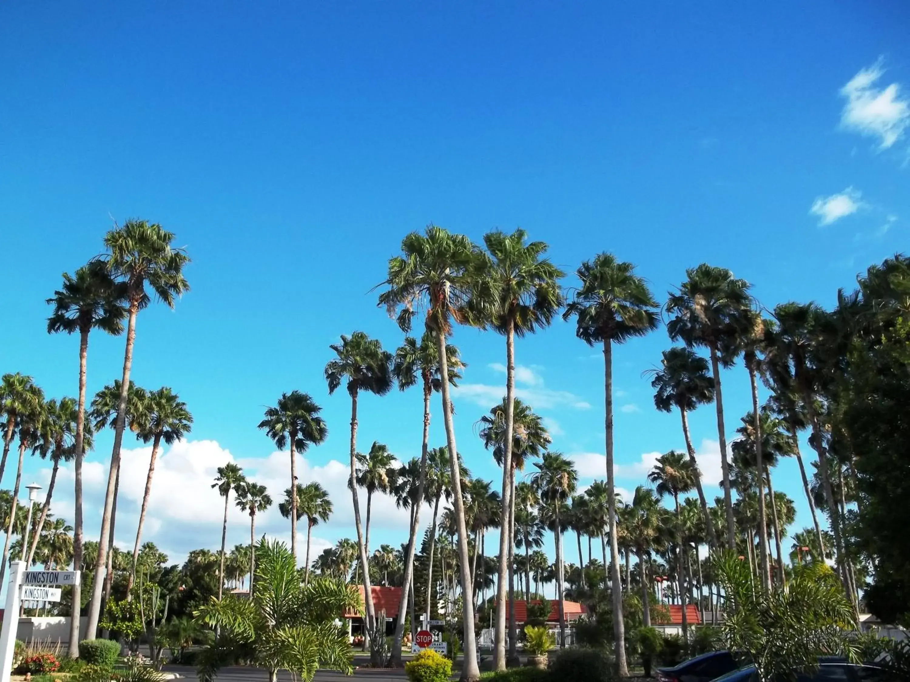 Victoria Palms Inn and Suites Victoria Palms Inn and Suites