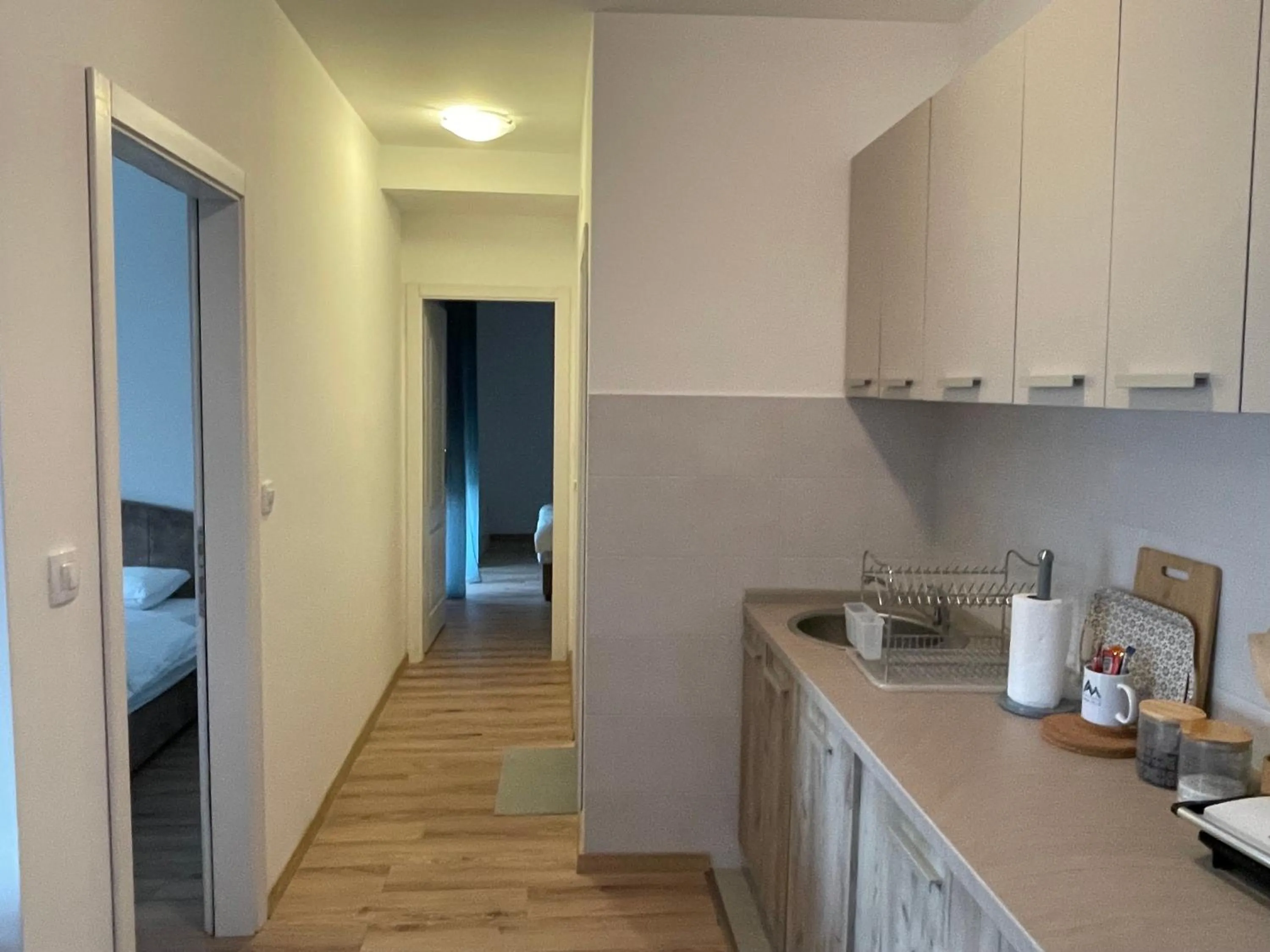 Kitchen or kitchenette in Apartmani Žabljak Hills