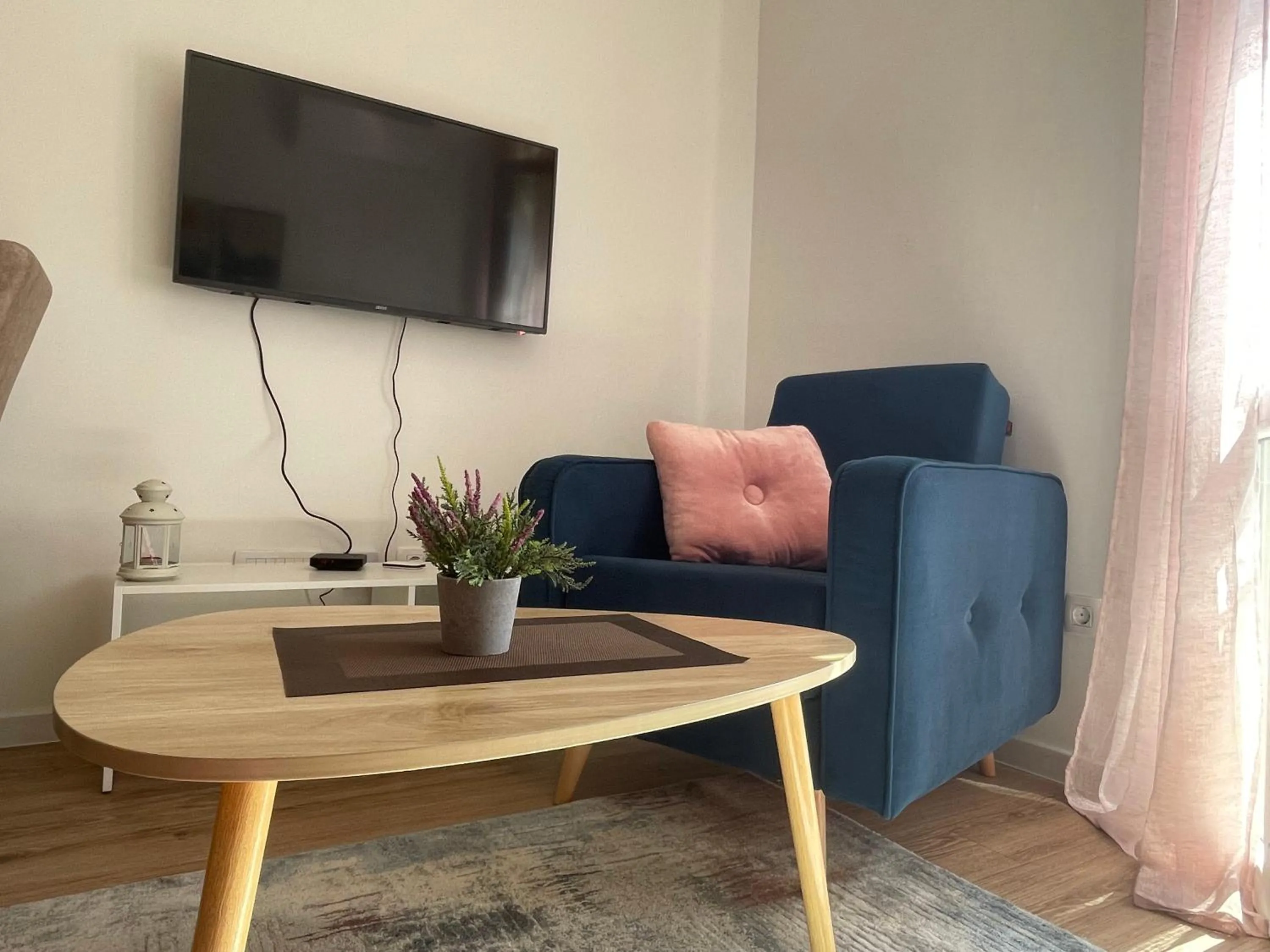 TV and multimedia in Apartmani Žabljak Hills