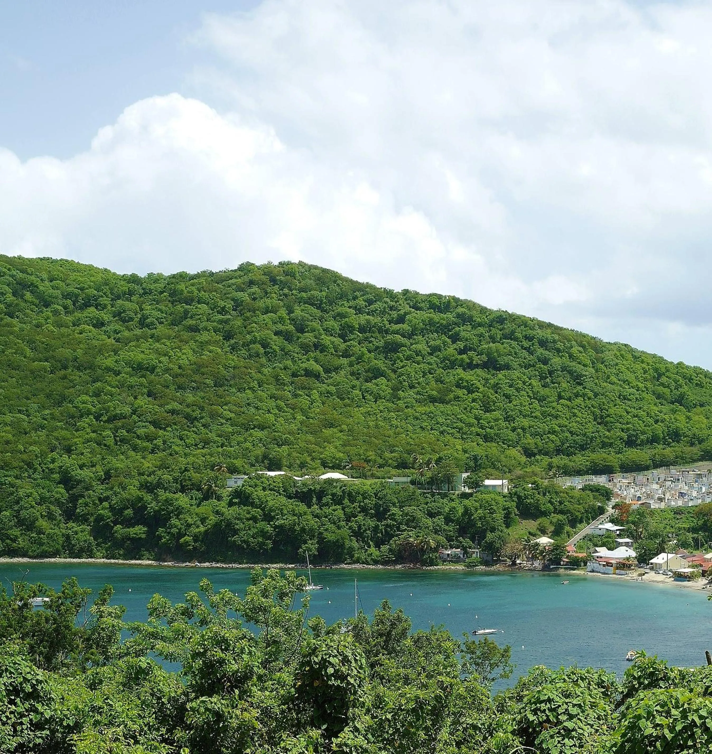 View (from property/room) in Les Merveilleux Flots de la Mer