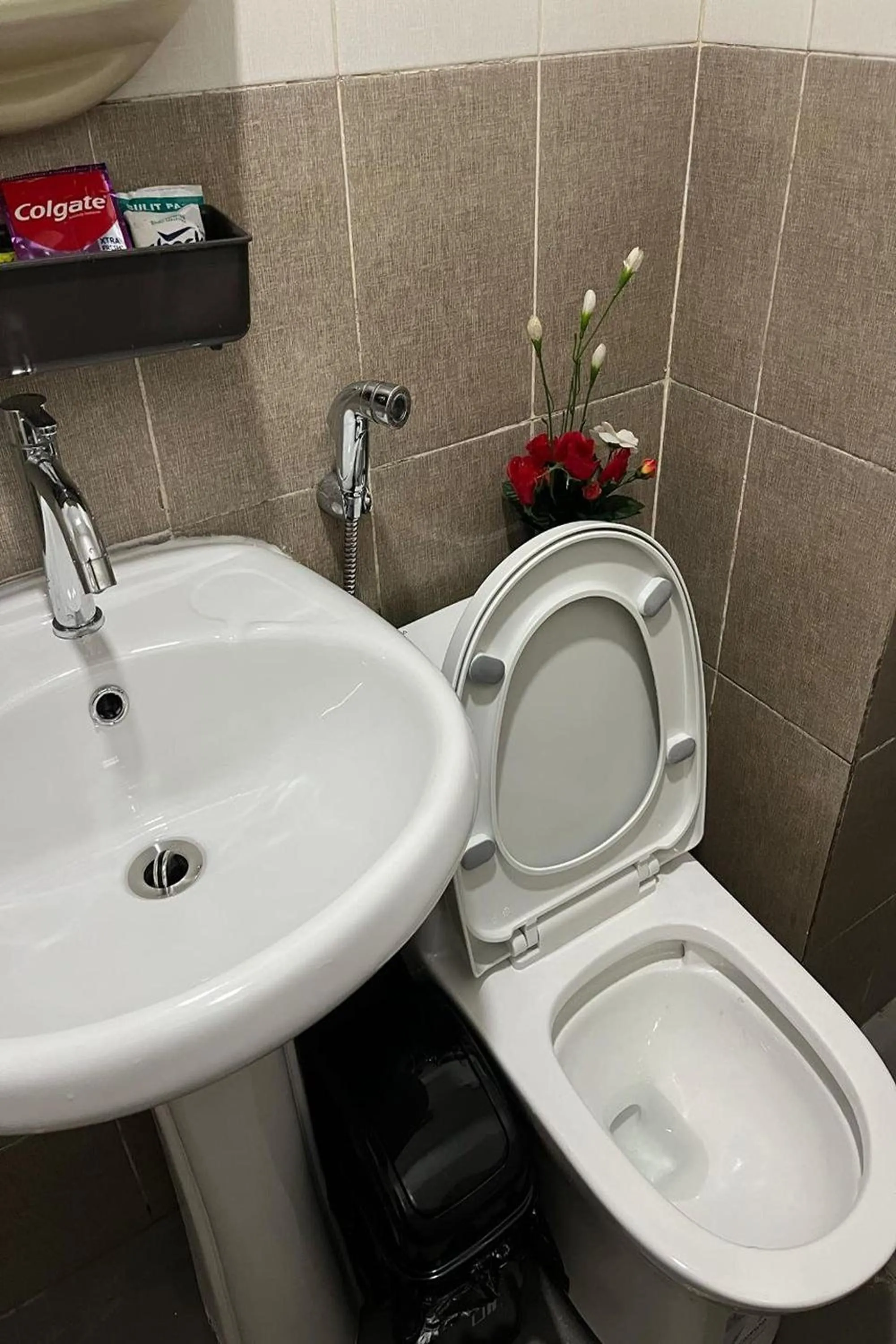 Toilet in Krystal Claine Homestay-BURNHAM HILL