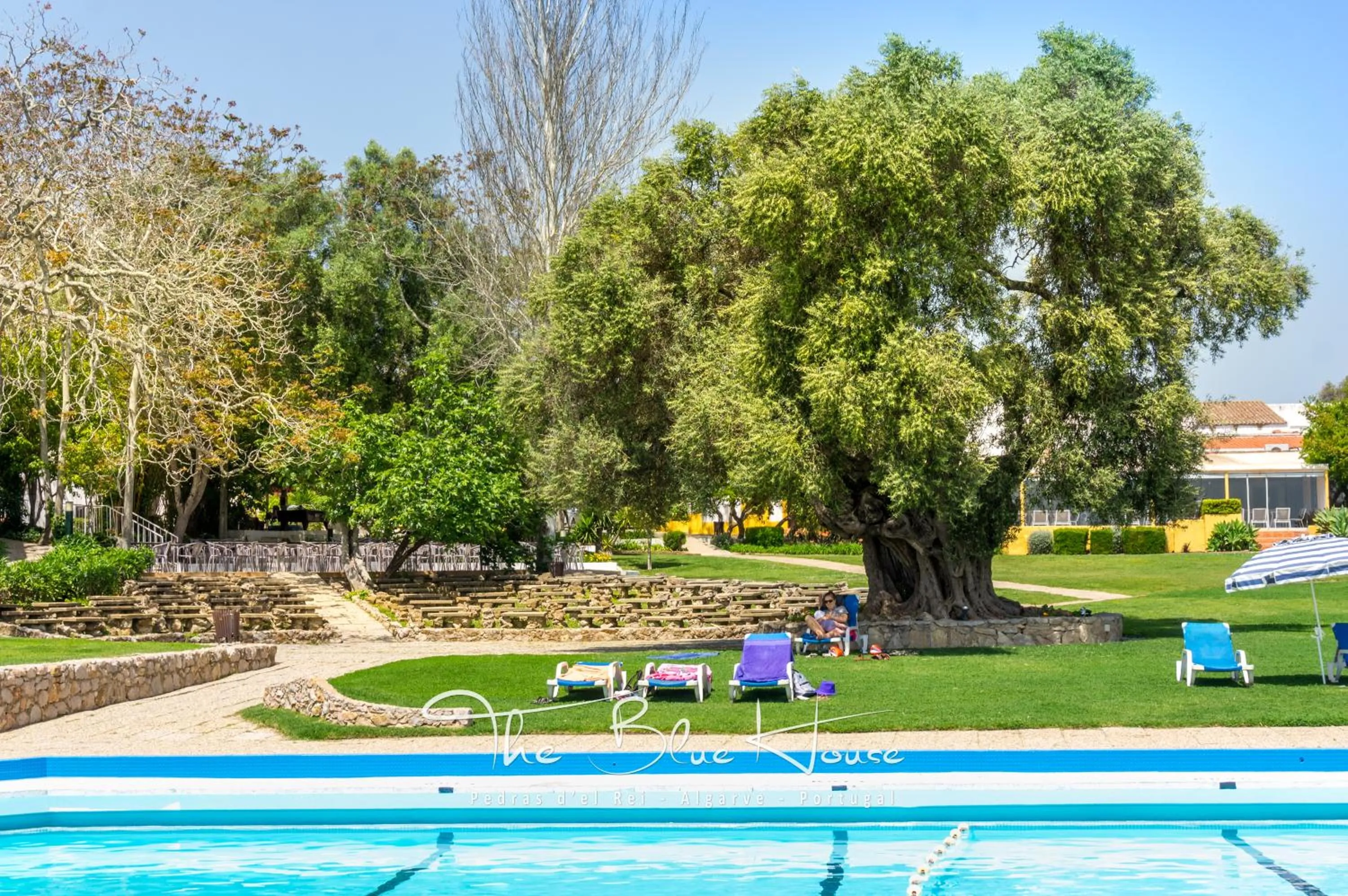 Swimming pool in The Blue House, Pedras D'el Rei, Tavira