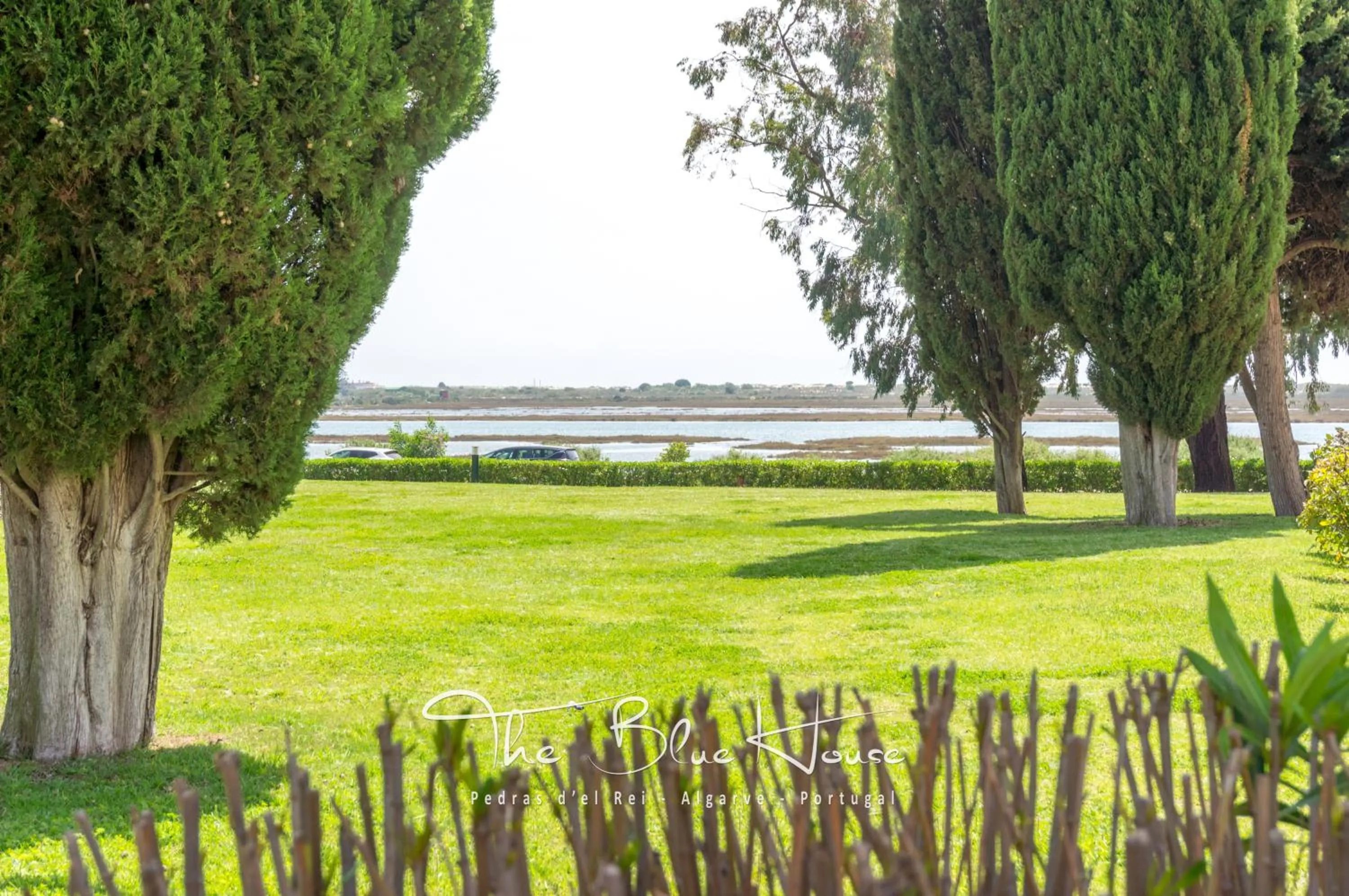 Garden in The Blue House, Pedras D'el Rei, Tavira