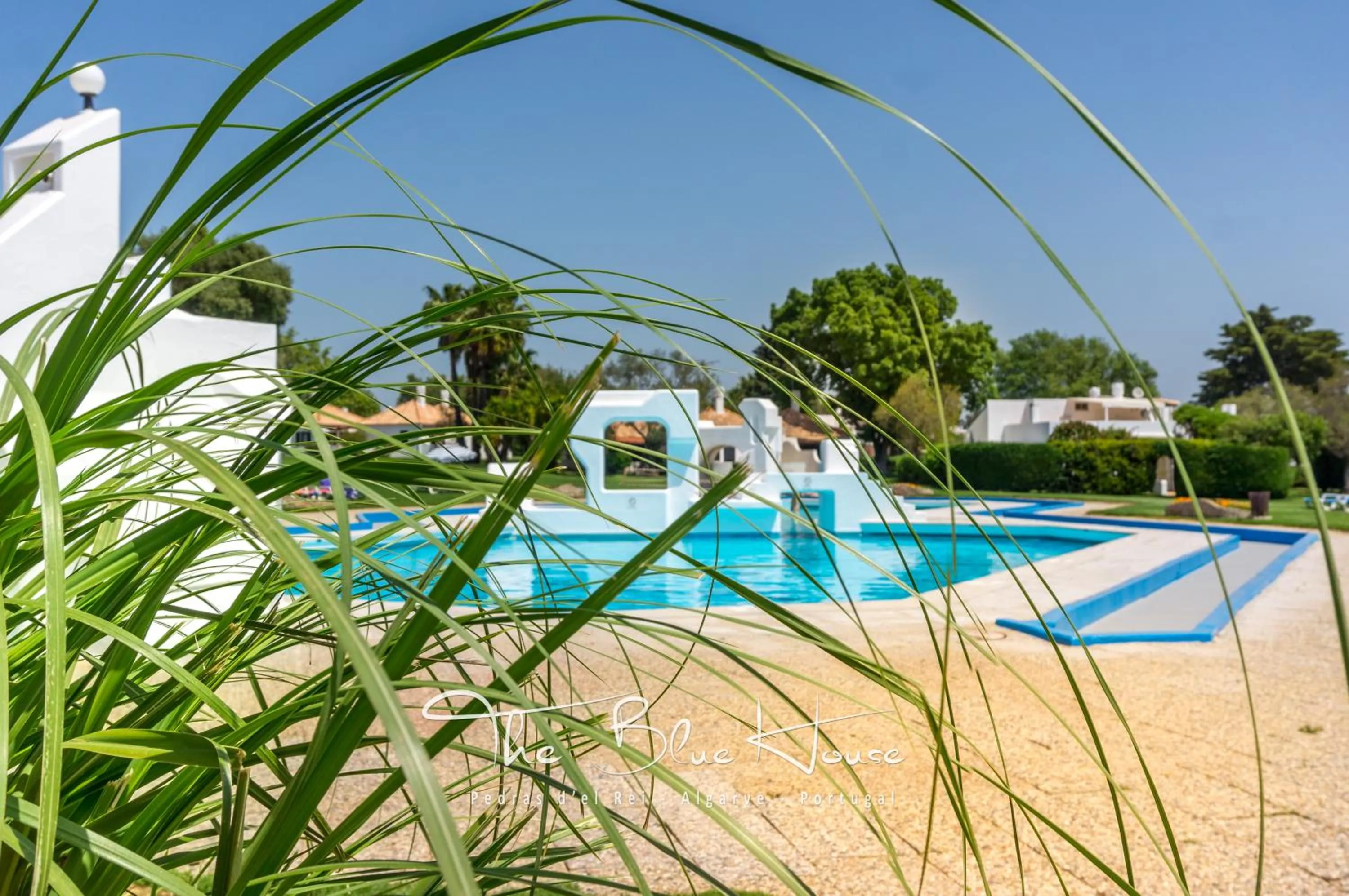 Swimming pool in The Blue House, Pedras D'el Rei, Tavira