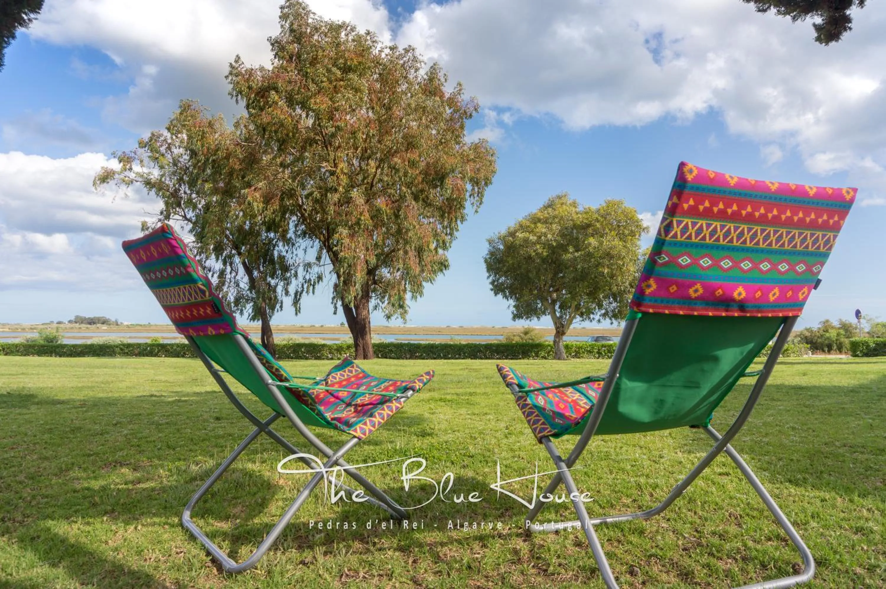 Garden in The Blue House, Pedras D'el Rei, Tavira