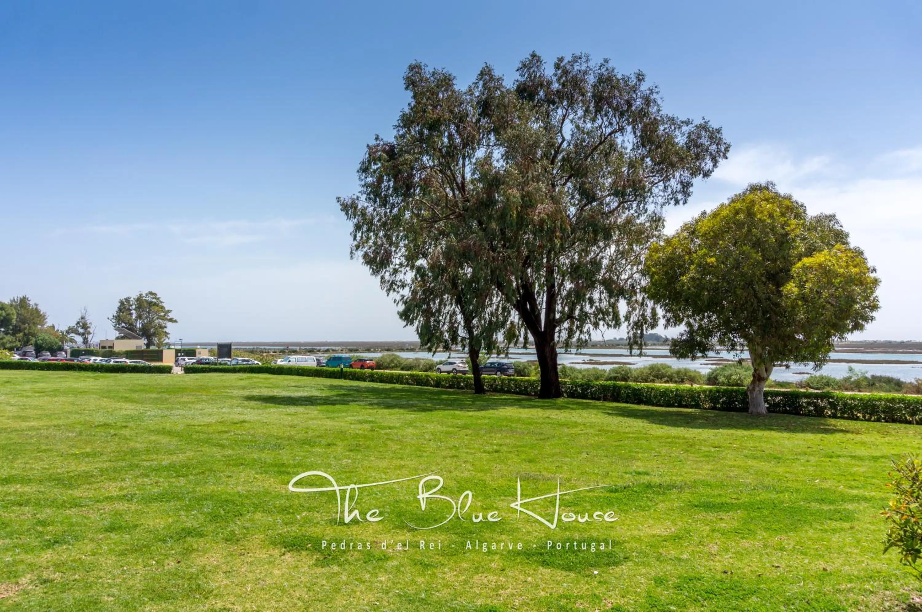 Garden in The Blue House, Pedras D'el Rei, Tavira