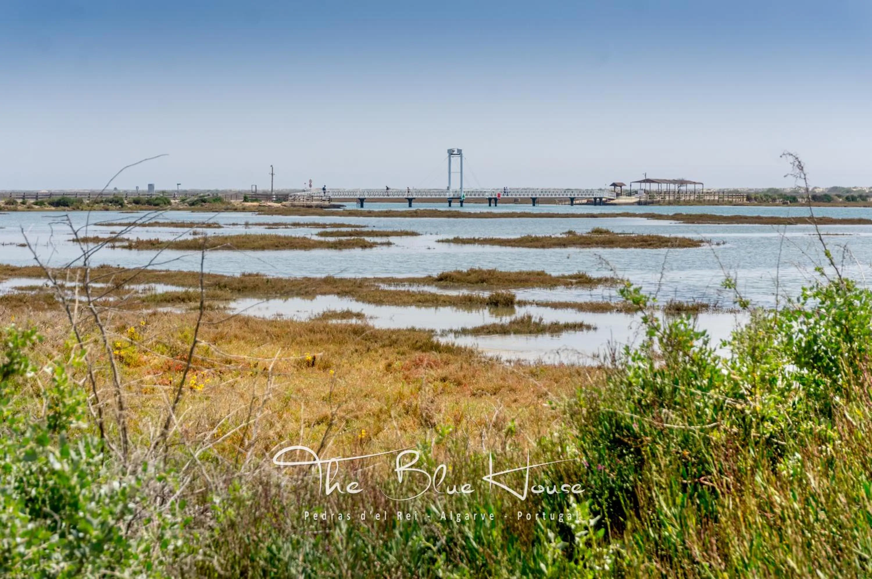 Natural landscape in The Blue House, Pedras D'el Rei, Tavira