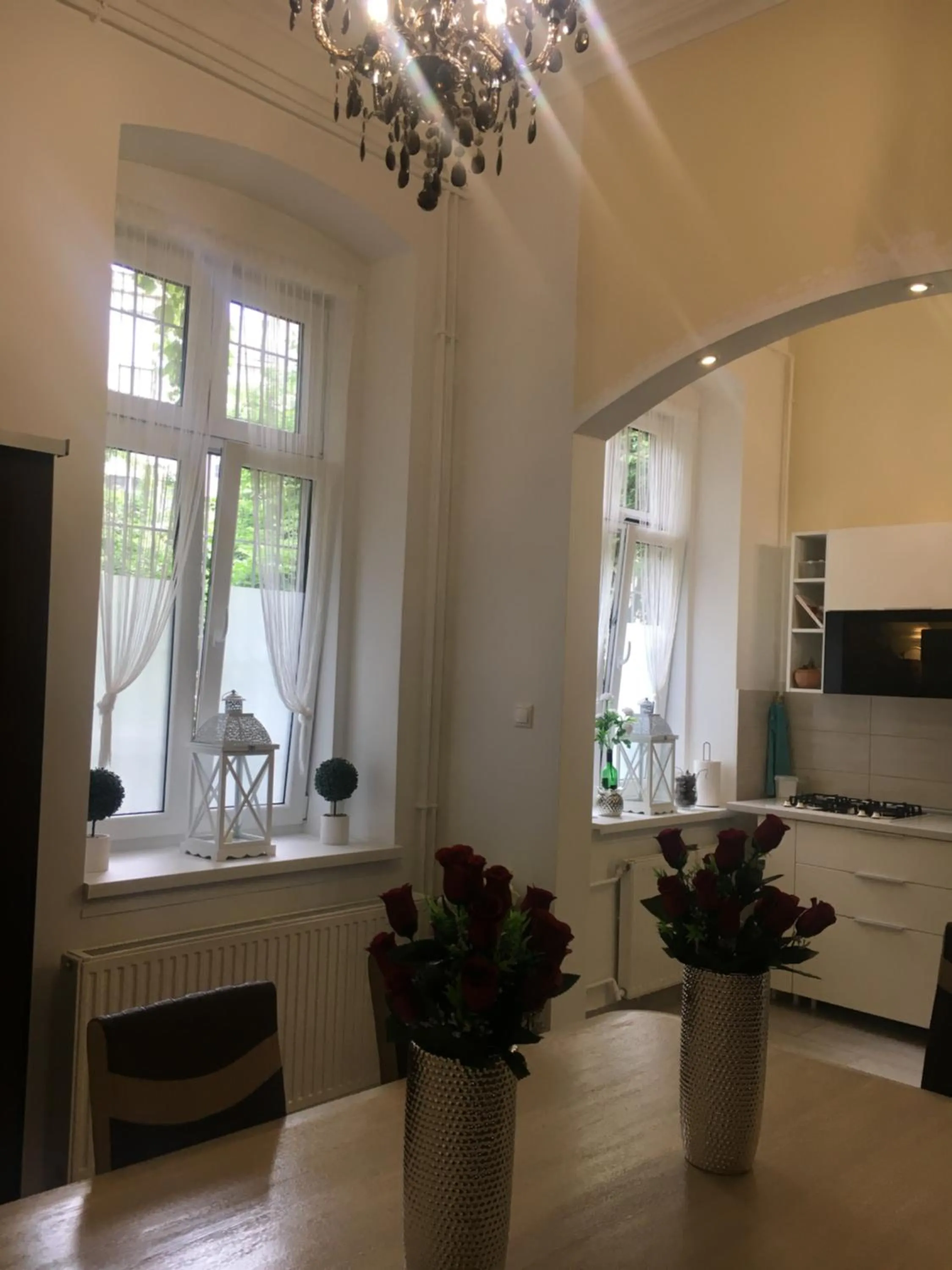 Kitchen or kitchenette in Logod Panorama Apartman