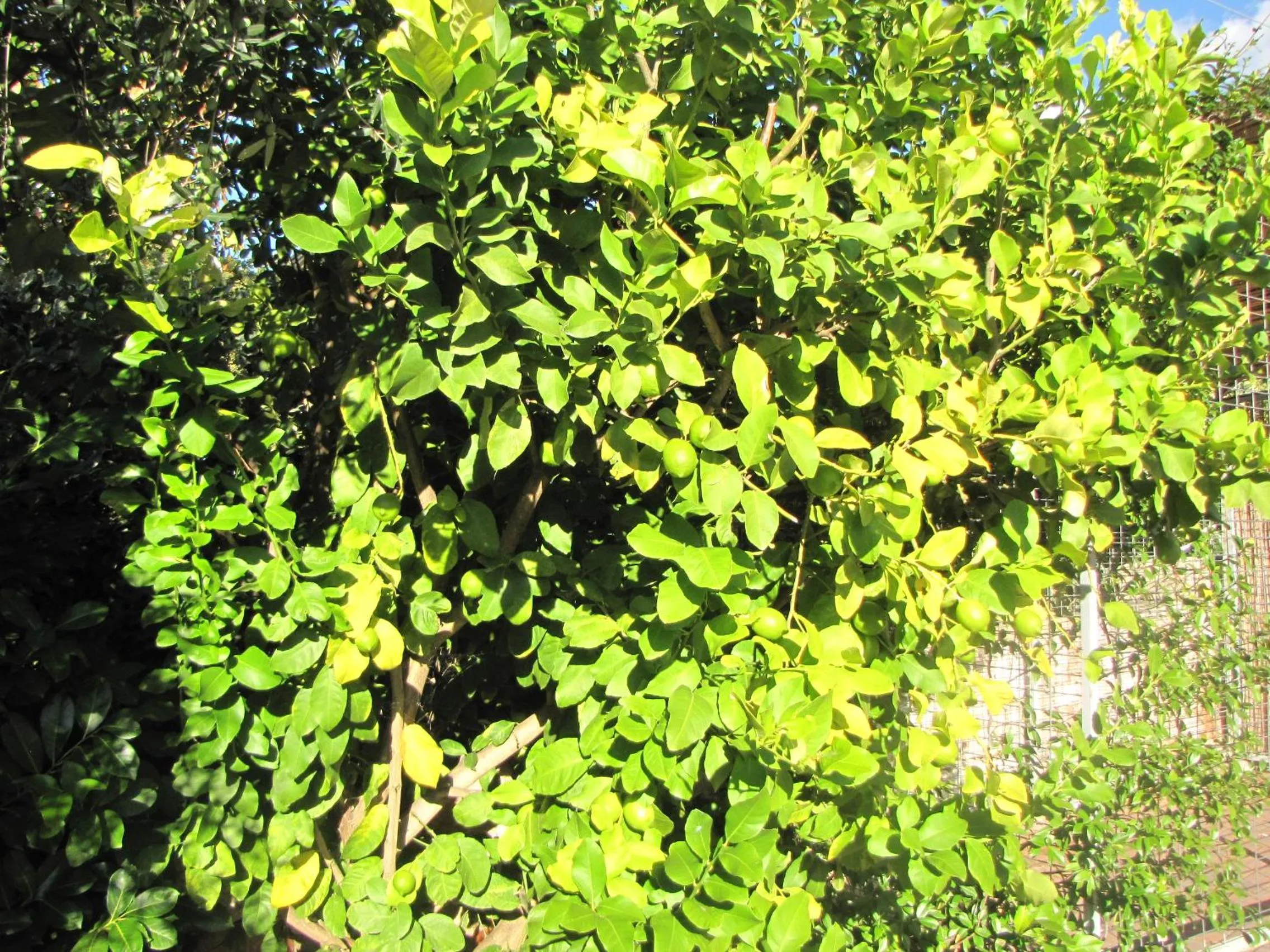 Day in Residence Villa Margherita