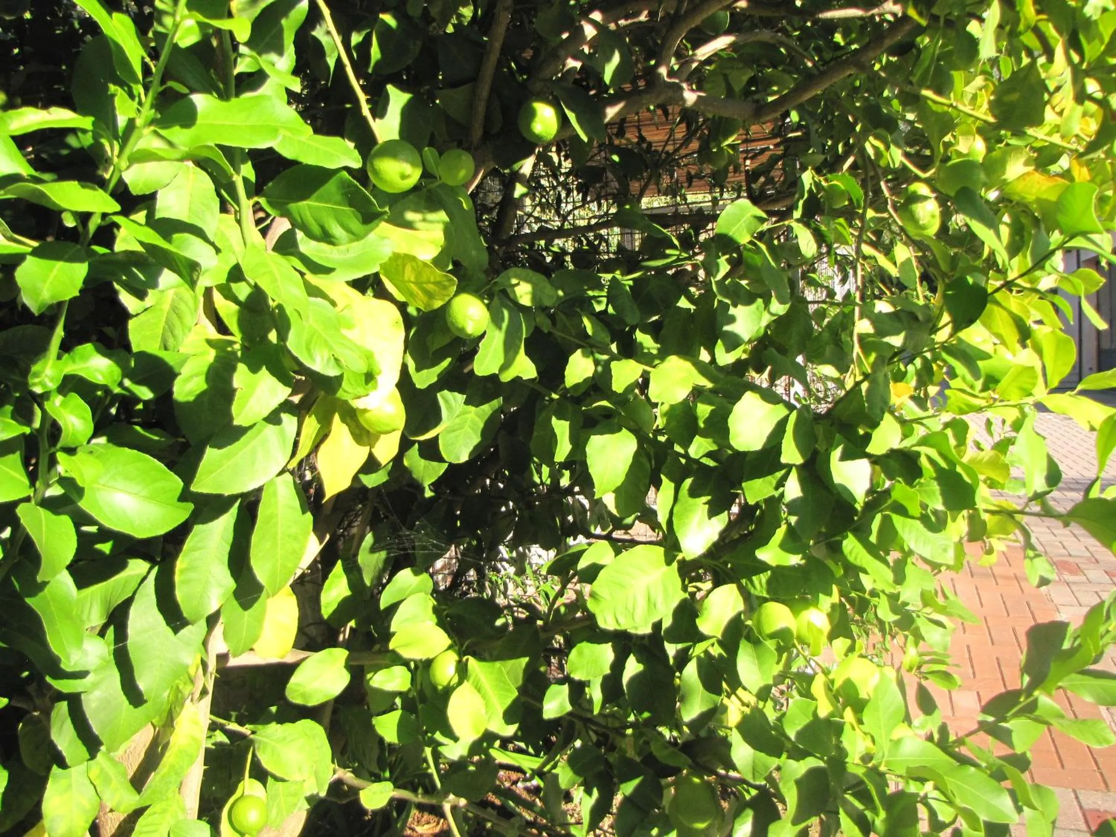 Day in Residence Villa Margherita