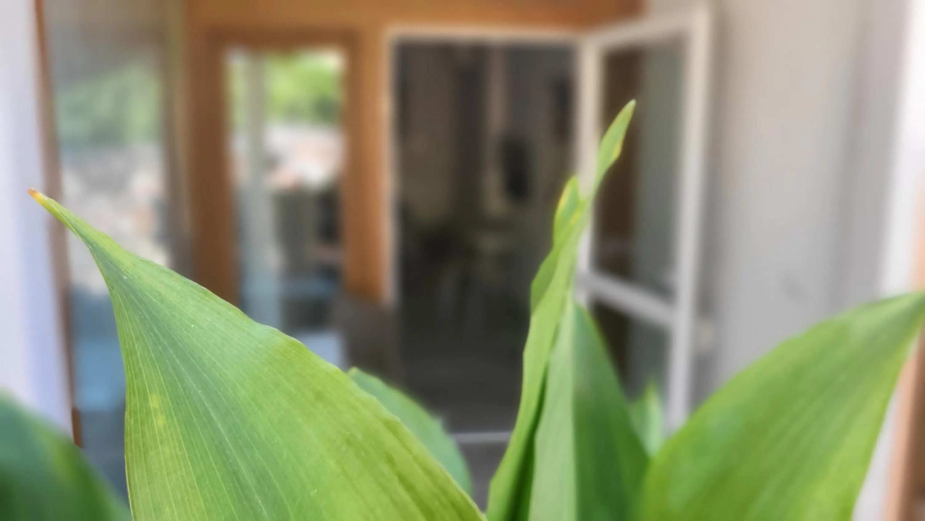 Residence Villa Margherita