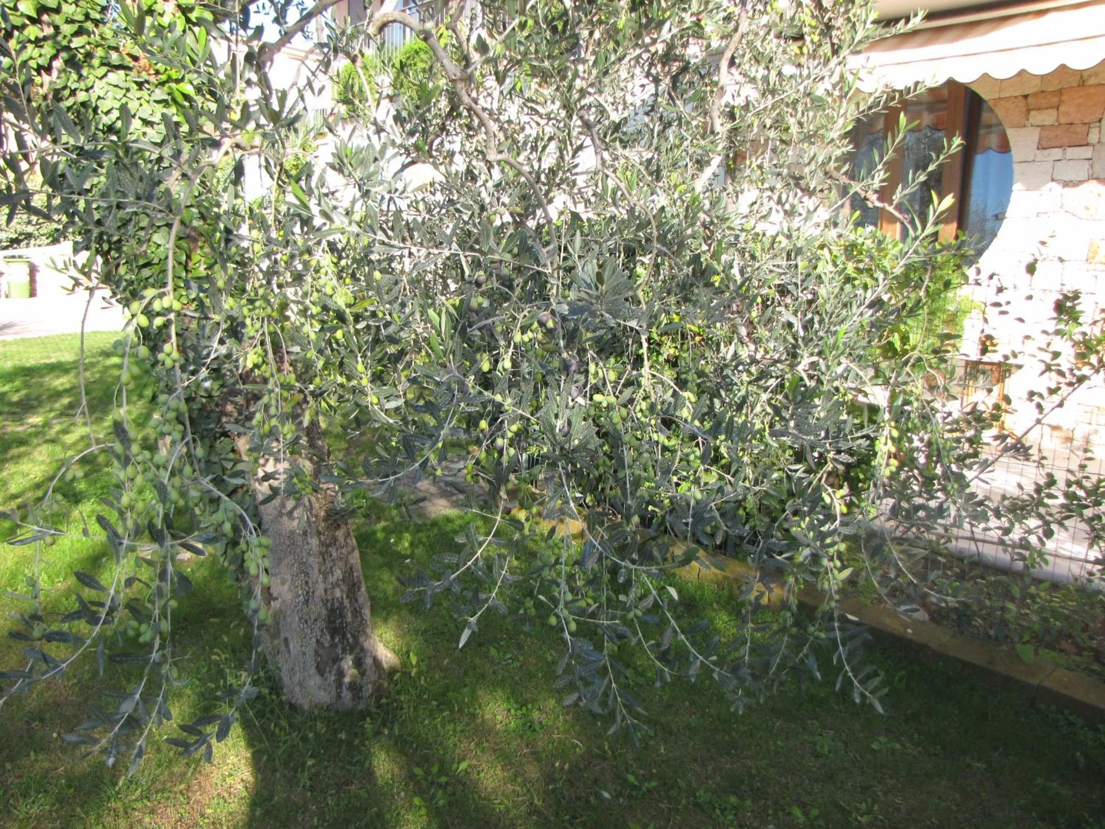 Day in Residence Villa Margherita