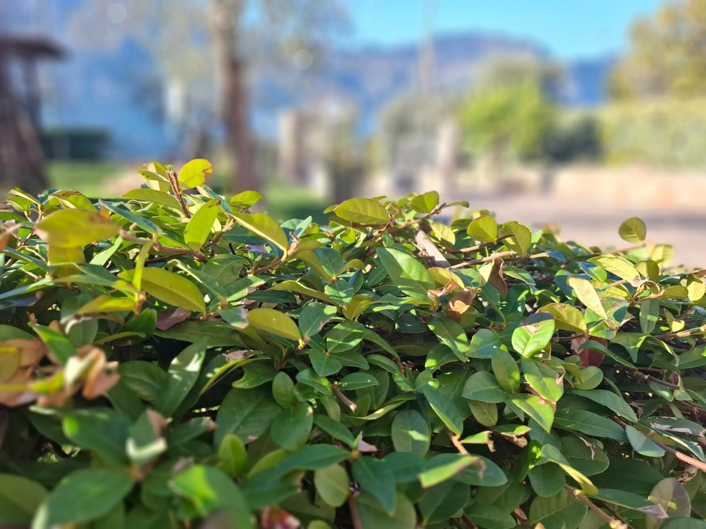 Residence Villa Margherita