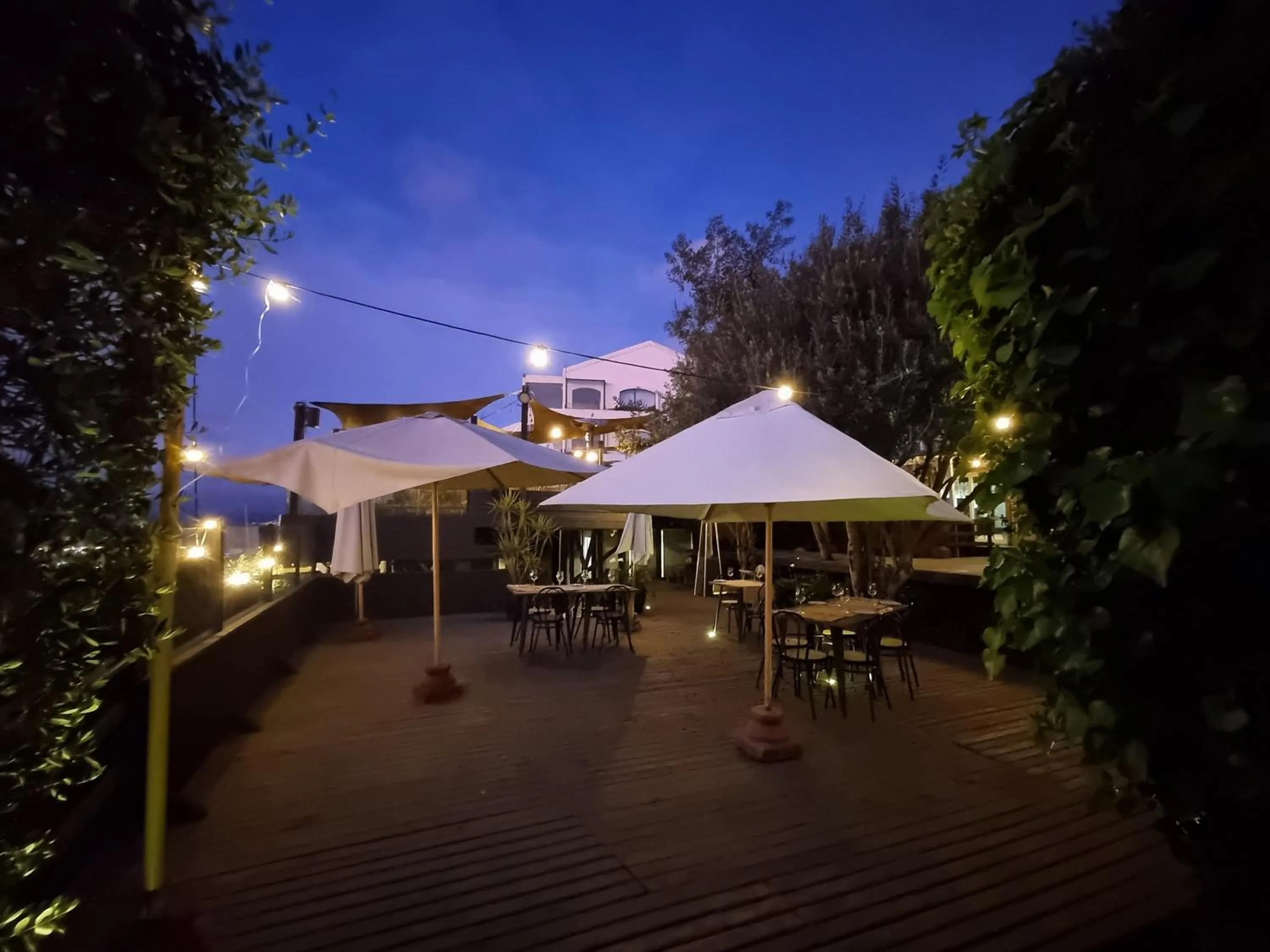 Restaurant/places to eat in Winery Hotel Boutique