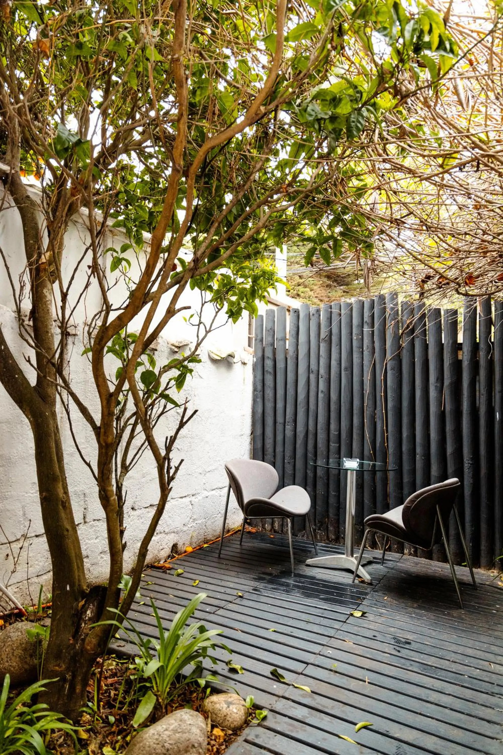 Patio in Winery Hotel Boutique