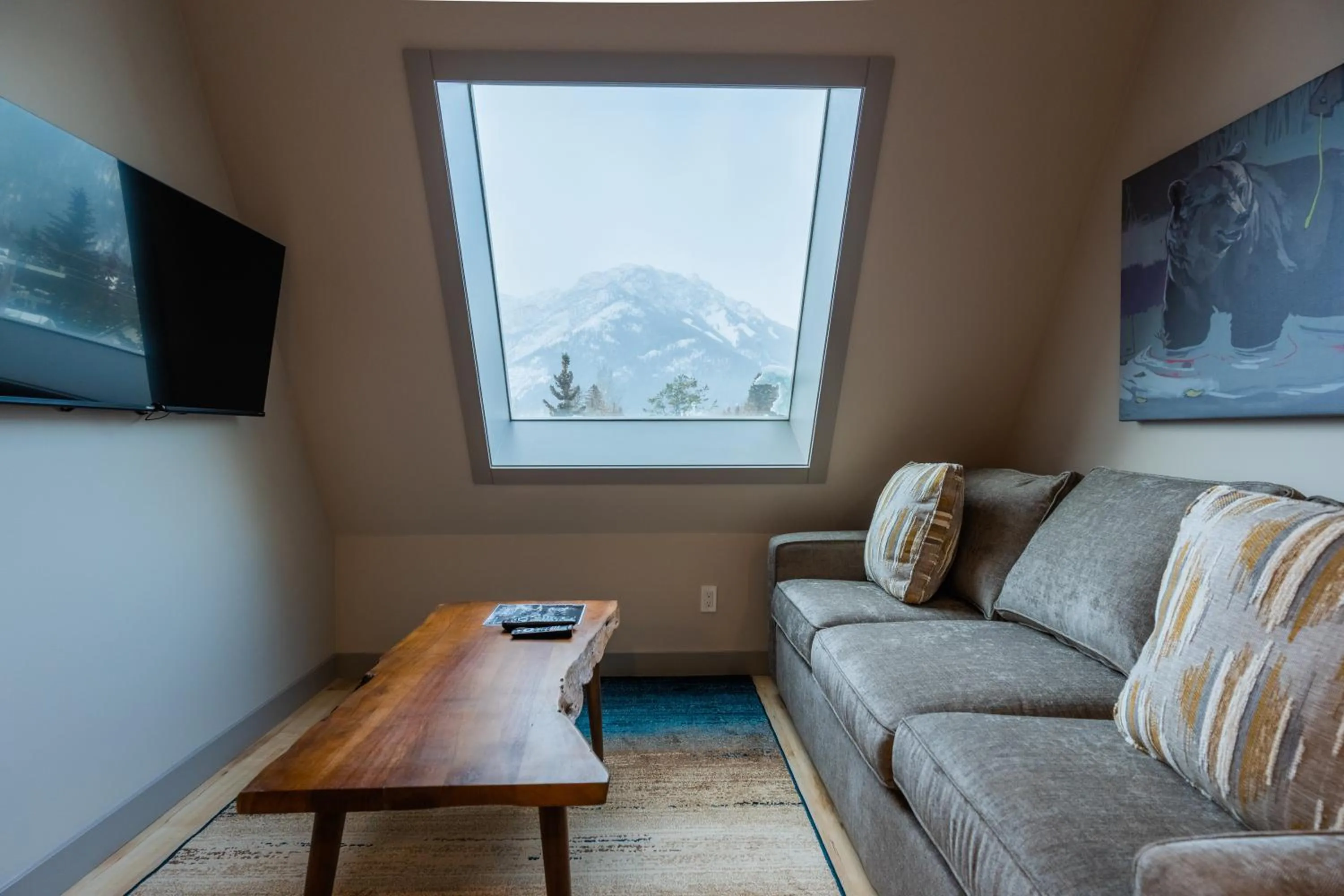TV and multimedia in Basecamp Suites Banff
