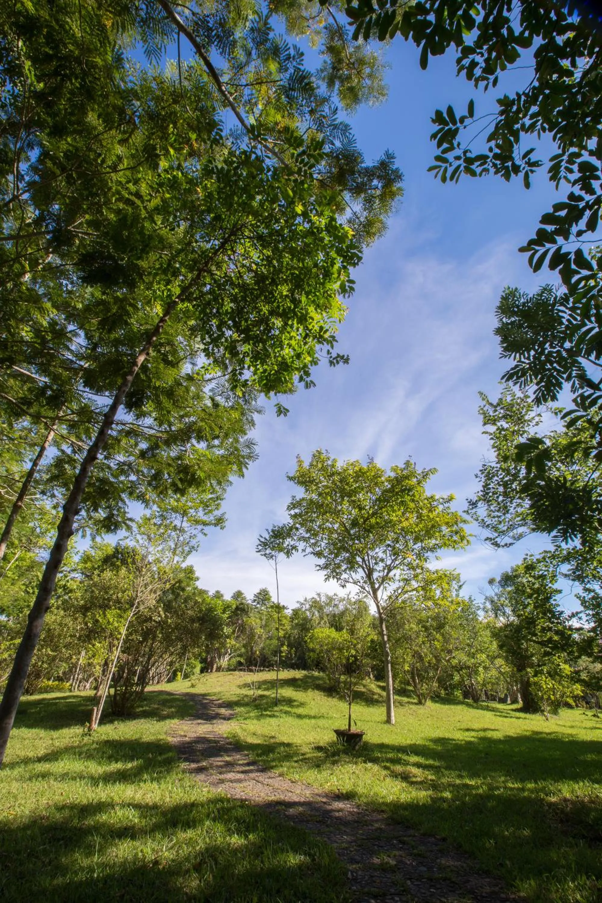 Other in Thanh Tan Hot Springs By Fusion