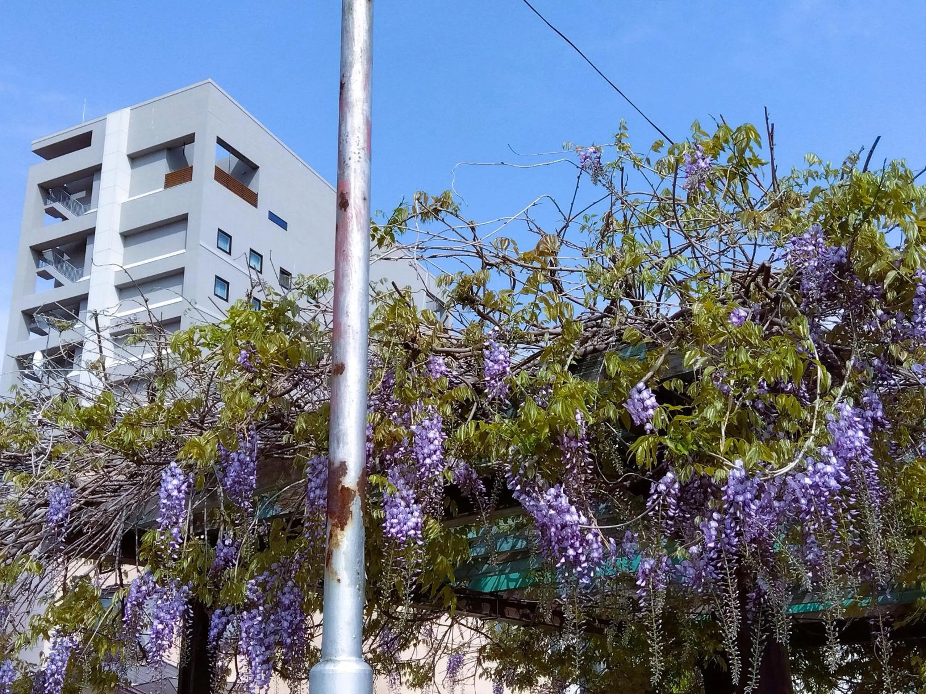 Nearby landmark in GRIDS PREMIUM HOTEL OTARU