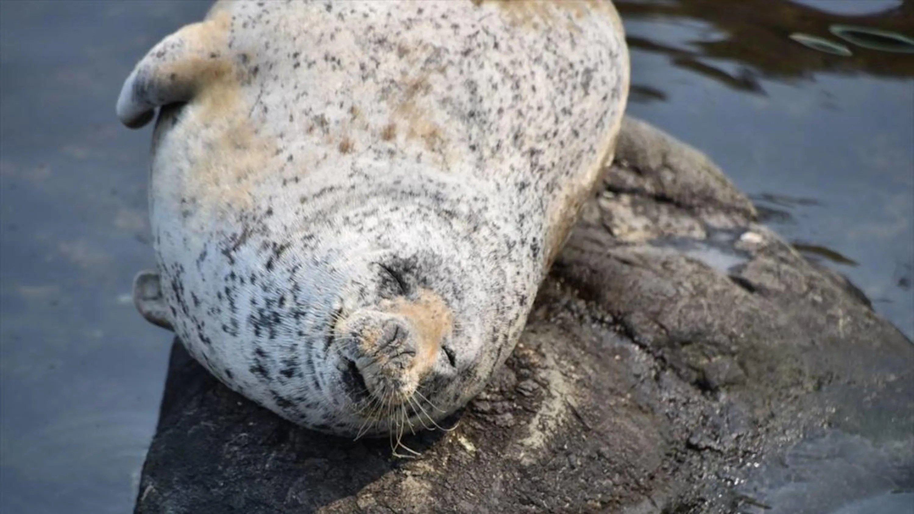 Nearby landmark in GRIDS PREMIUM HOTEL OTARU