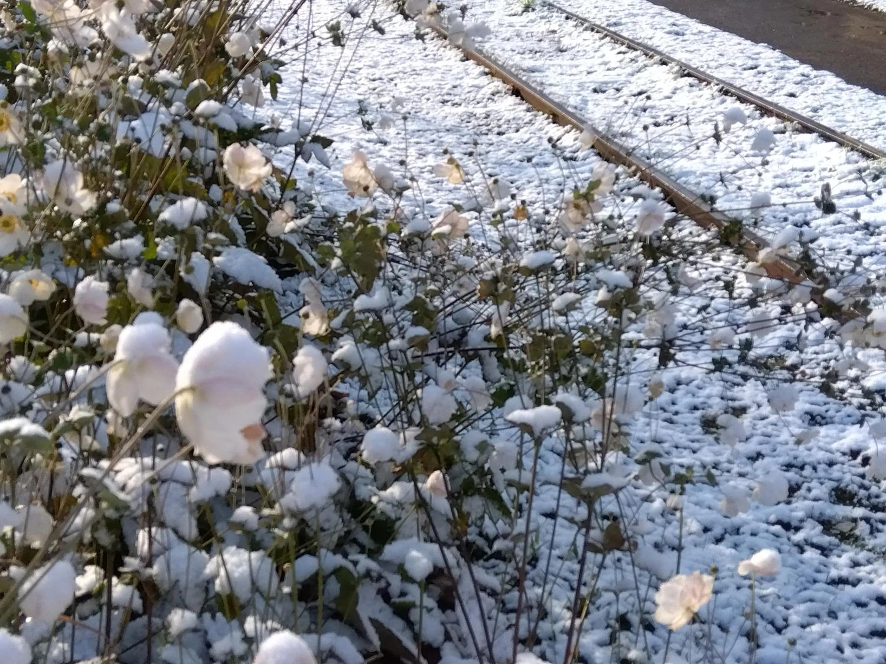 Nearby landmark in GRIDS PREMIUM HOTEL OTARU