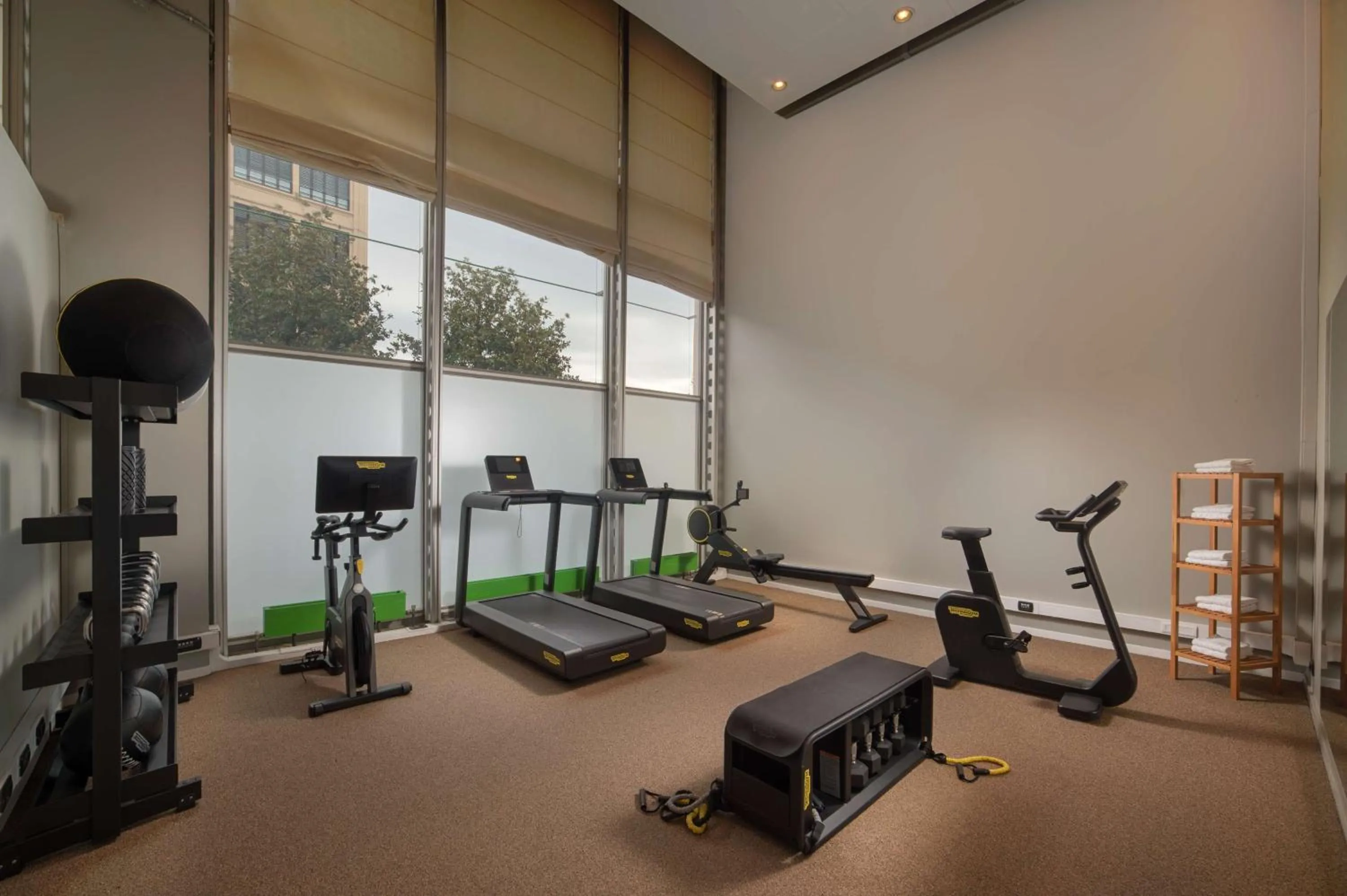 Fitness centre/facilities in NH Torino Lingotto Congress