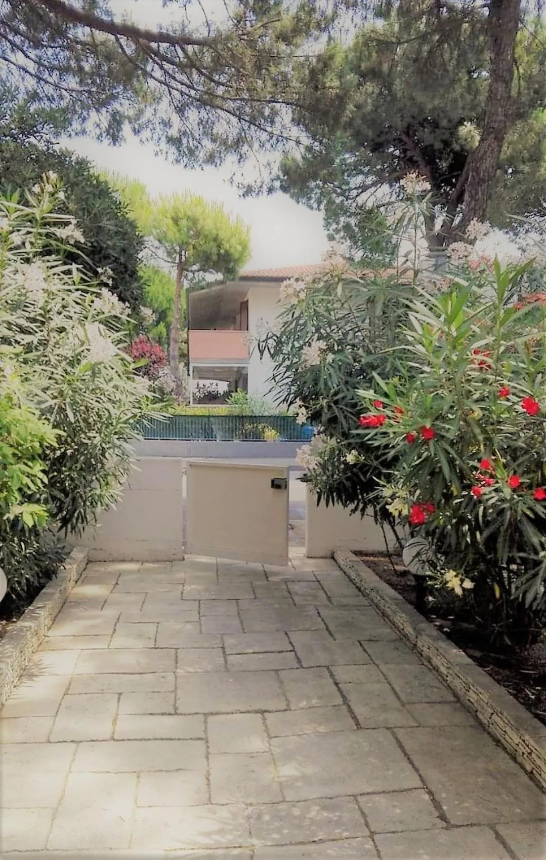 Patio in Hotel Enrica