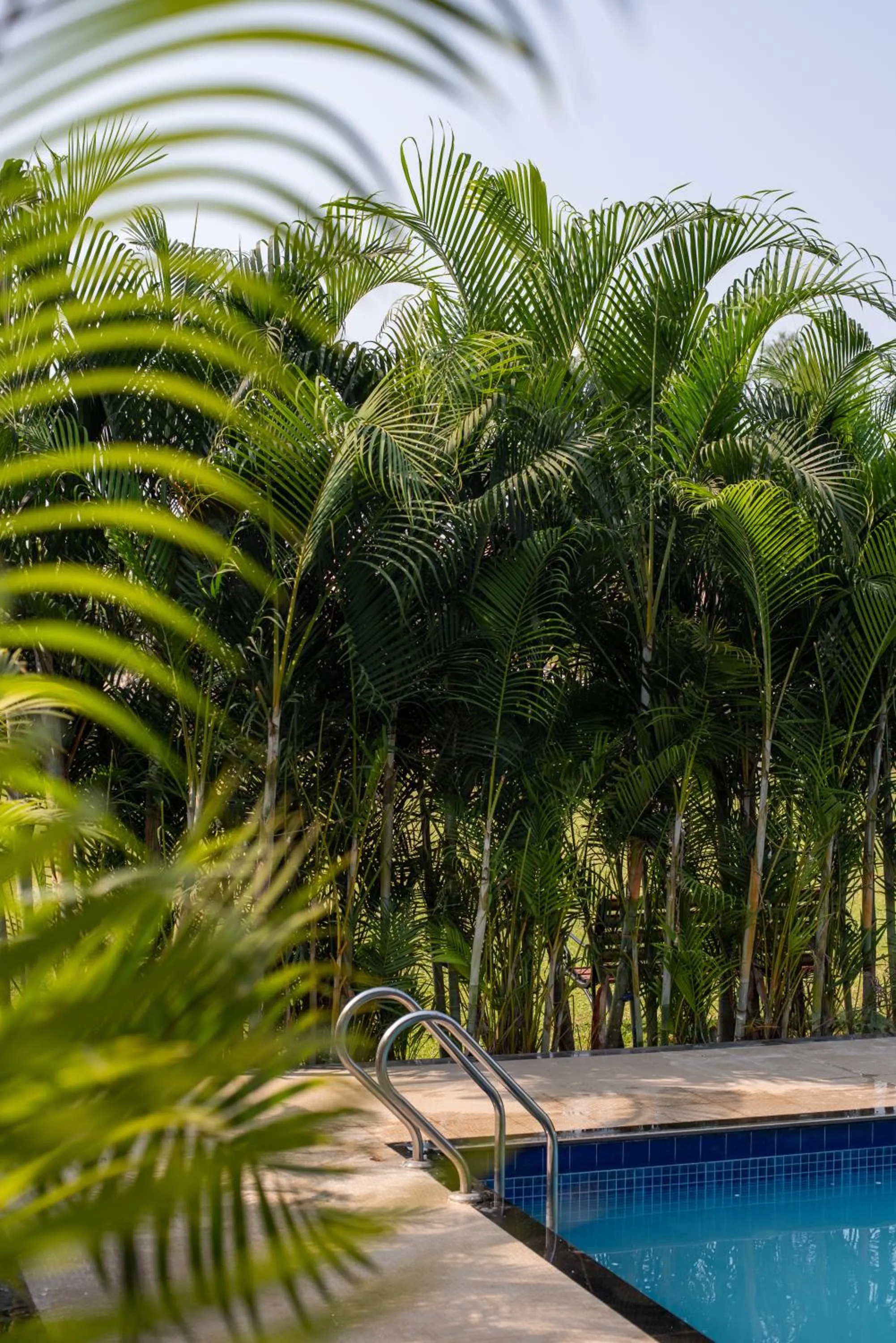 Swimming pool in Paramount Riverfront Resort & Spa, Karjat