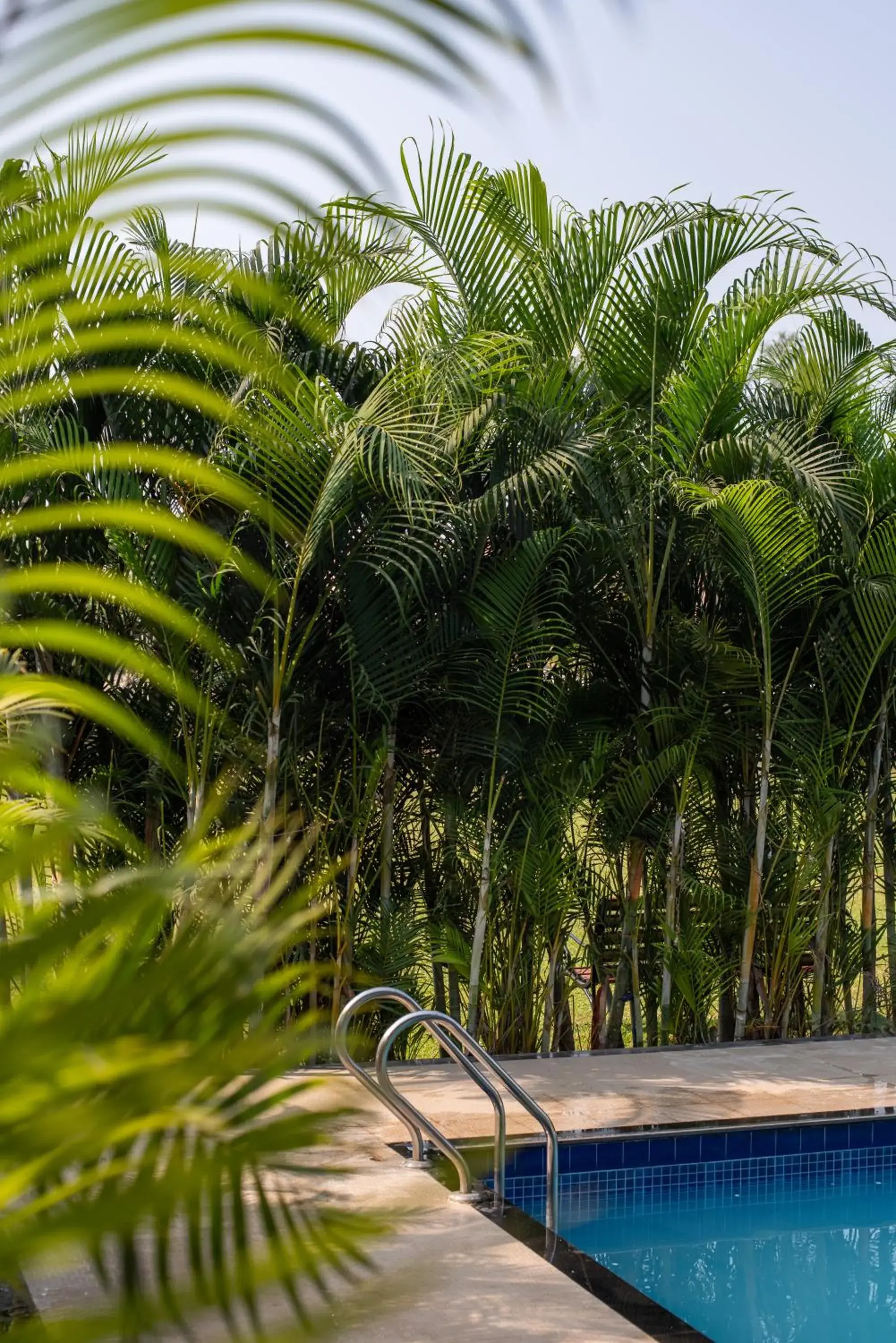 Swimming pool in Paramount Riverfront Resort & Spa, Karjat Swimming pool in Paramount Riverfront Resort & Spa, Karjat