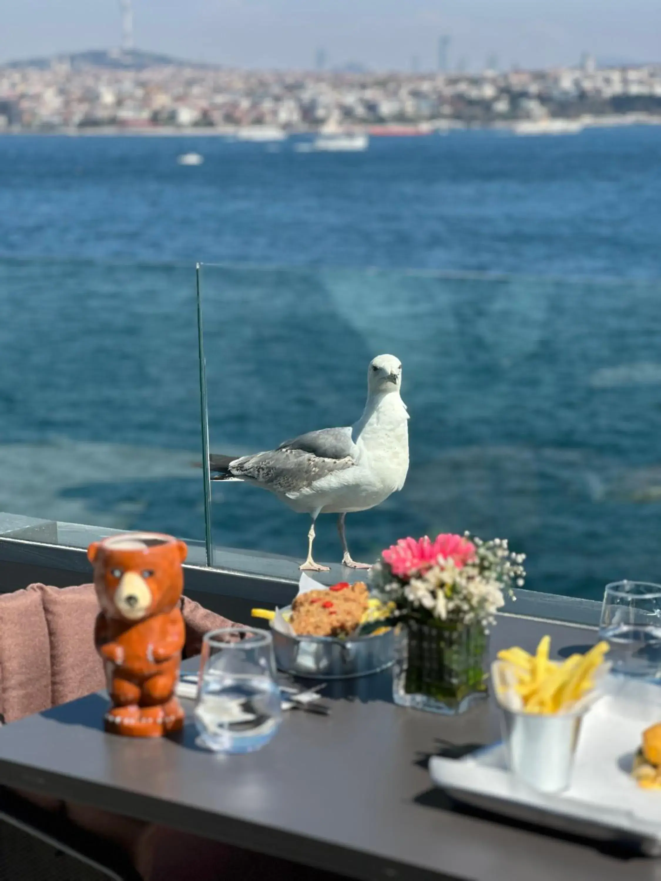 Food and drinks in Pera Bosphorus Hotel Food and drinks in Pera Bosphorus Hotel