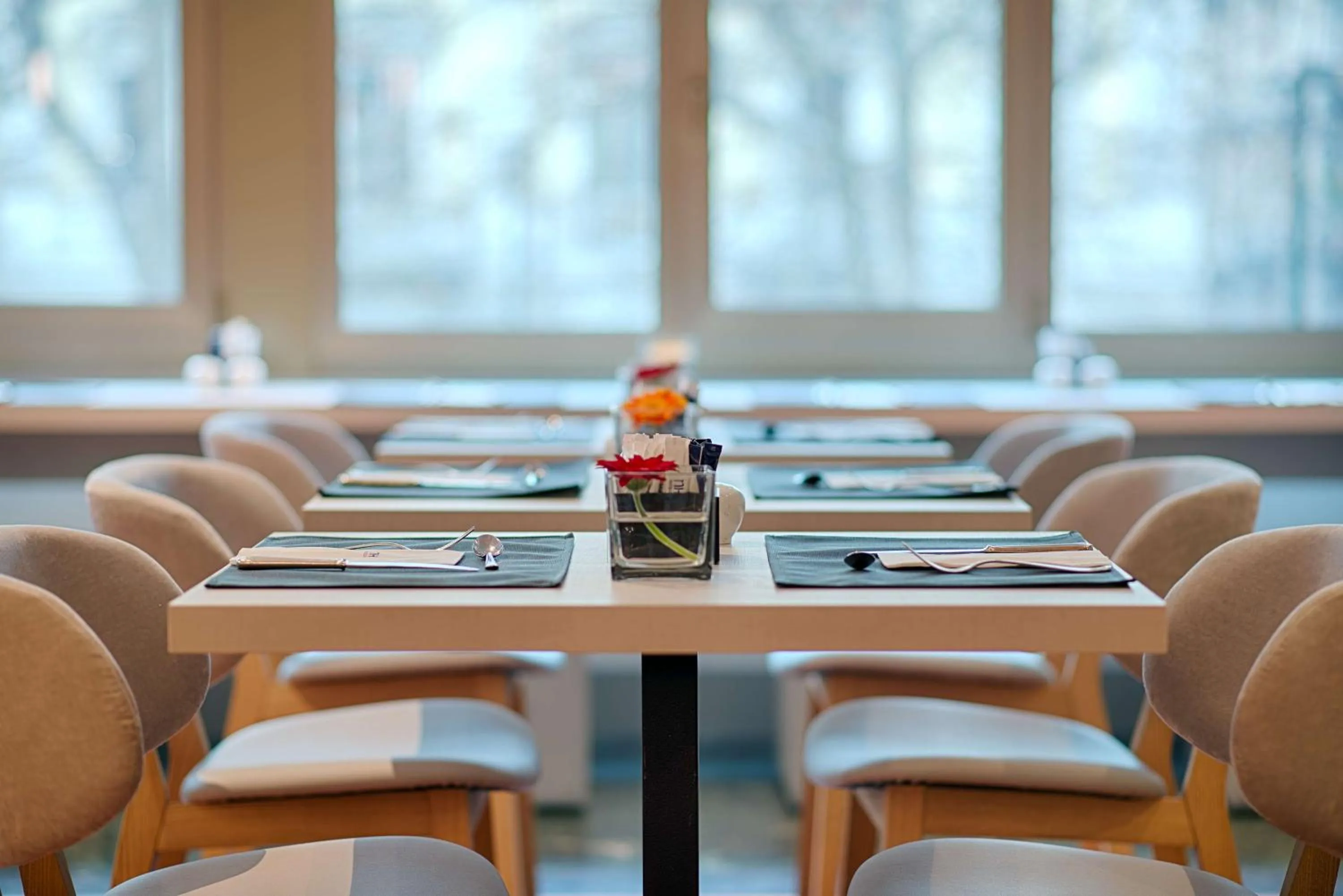 Restaurant/places to eat in NH Torino Centro