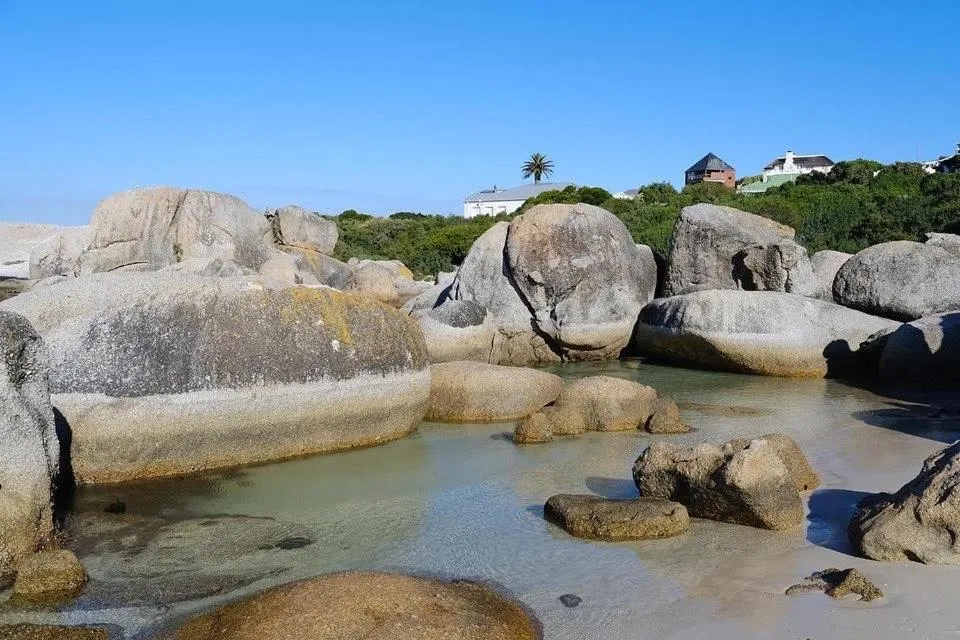 Natural landscape in Penguin Haven . Luxury 2 bedroom, Boulders Beach.