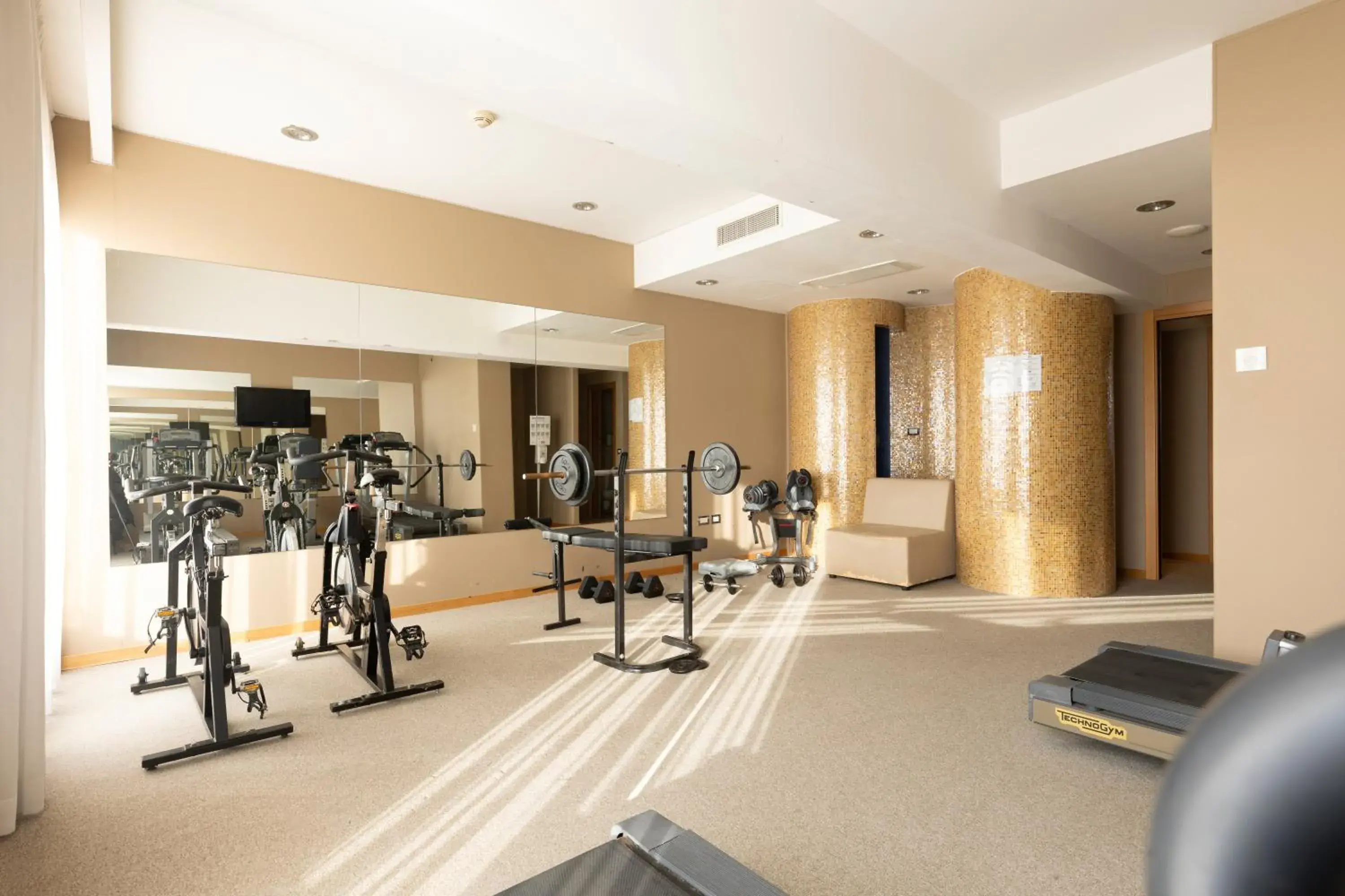 Fitness centre/facilities in Hotel Royal Caserta Fitness centre/facilities in Hotel Royal Caserta