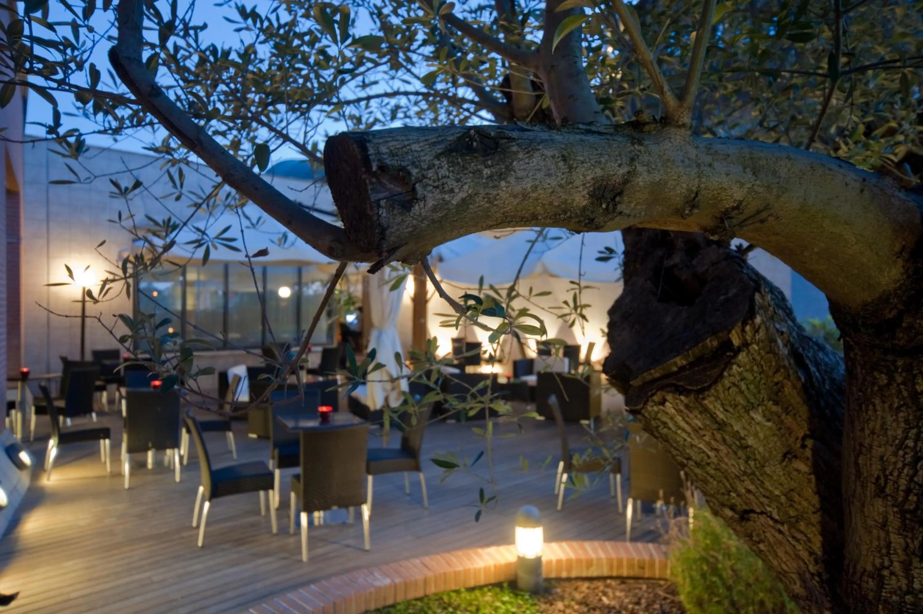 Lounge or bar in Hotel Roma Aurelia Antica