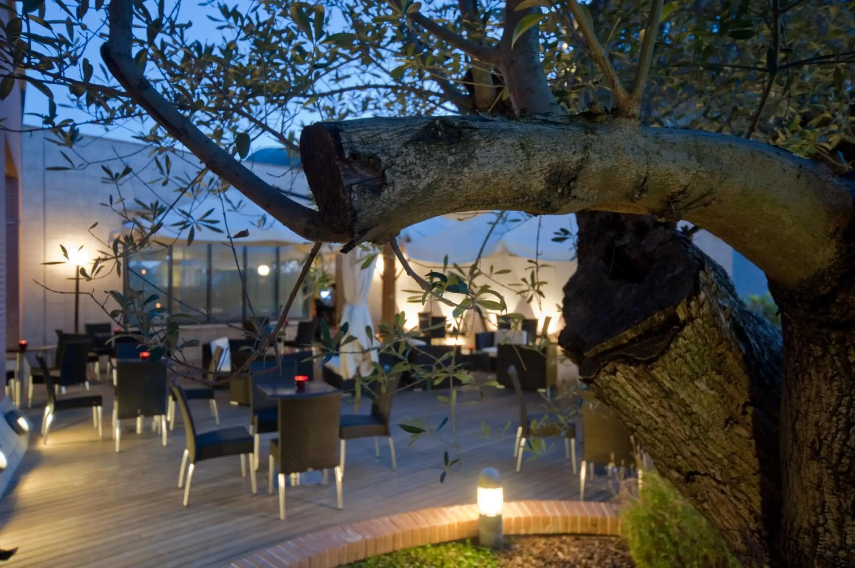 Lounge or bar in Hotel Roma Aurelia Antica Lounge or bar in Hotel Roma Aurelia Antica