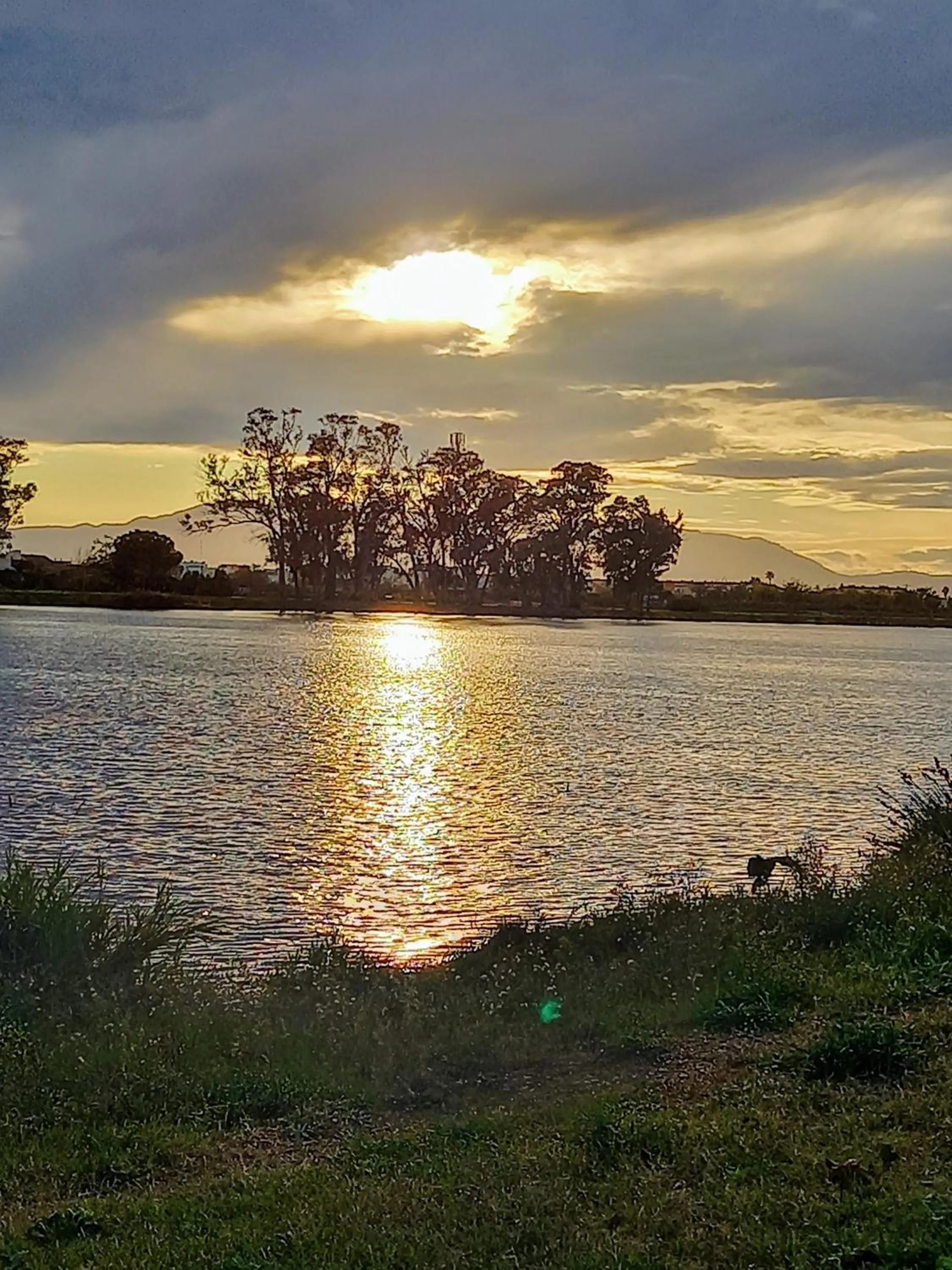 Natural landscape in L'Hotelet del Delta - adults