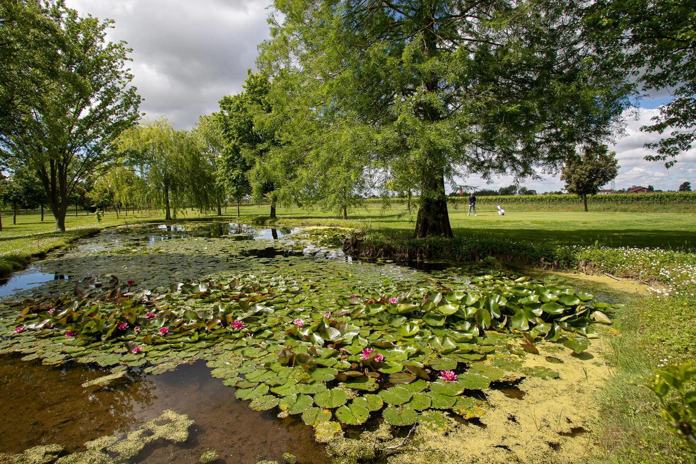 Garden in Ancora Sport Resort Hotel