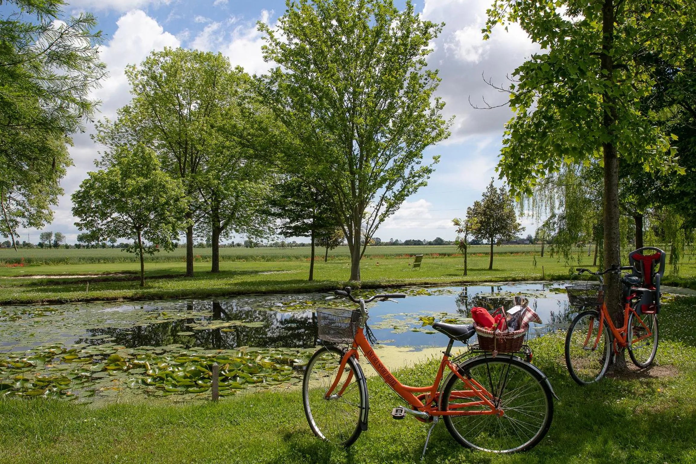Natural landscape in Ancora Sport Resort Hotel