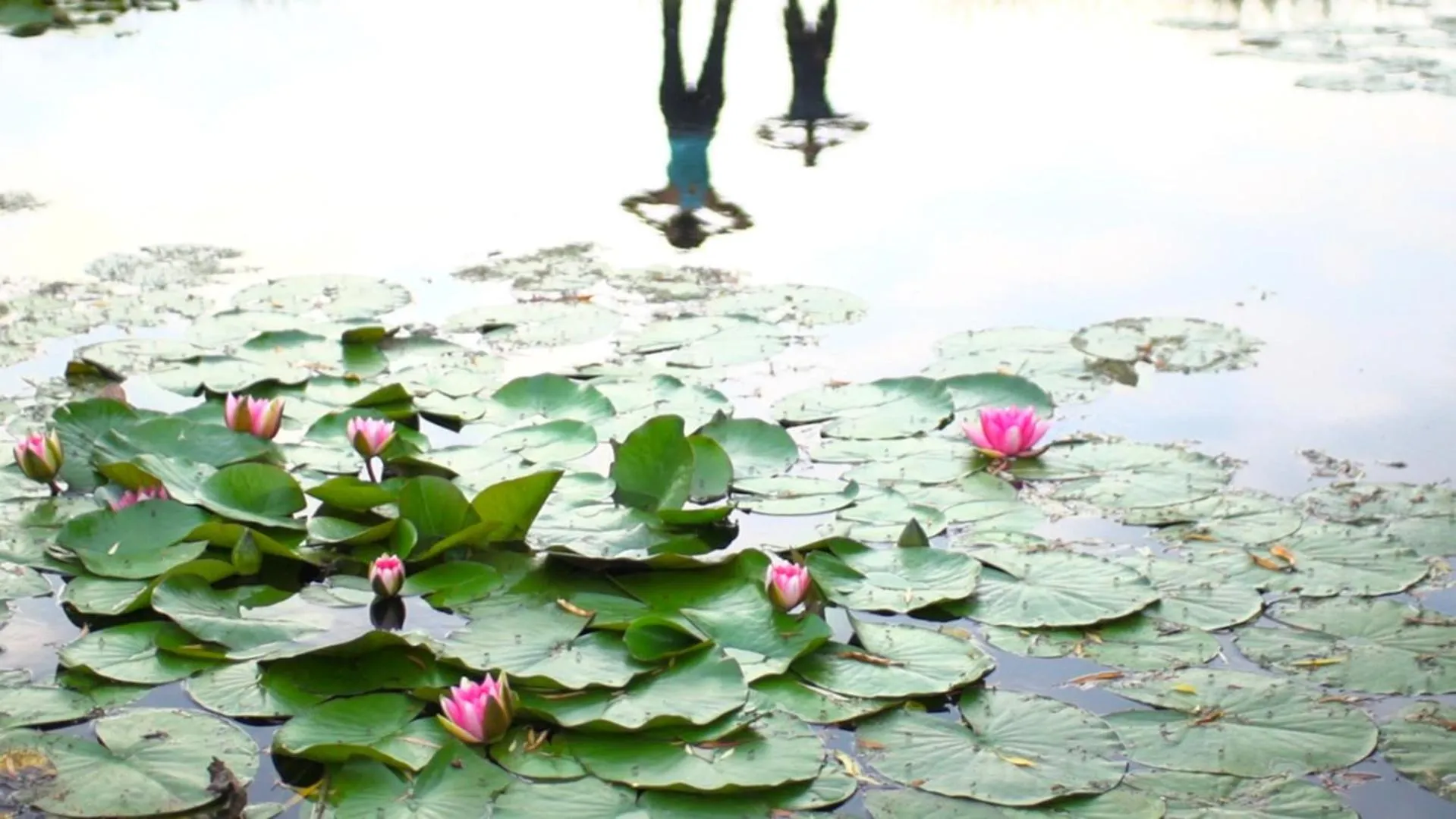 Activities in Ancora Sport Resort Hotel