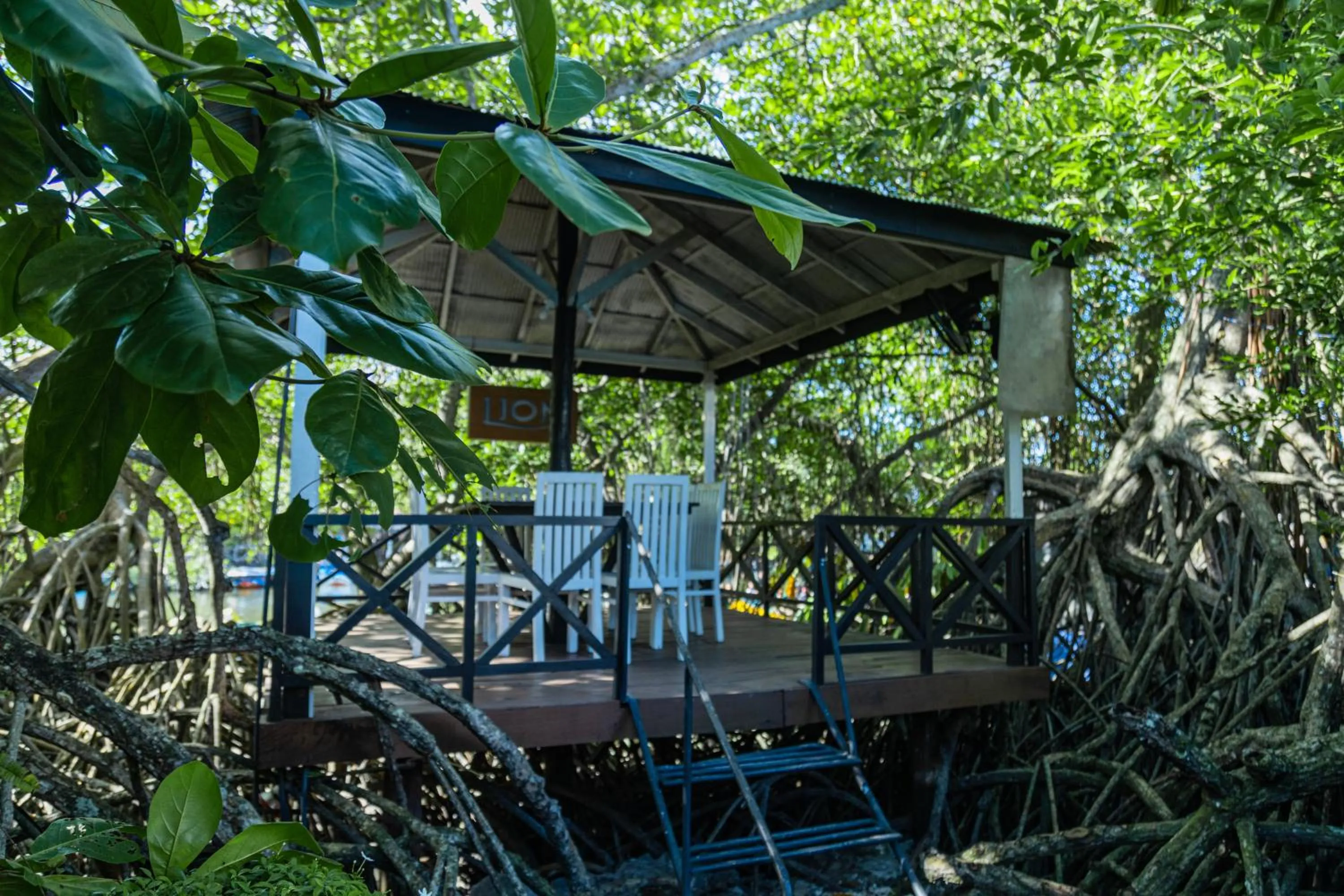 THE Mangrove cave Hotel