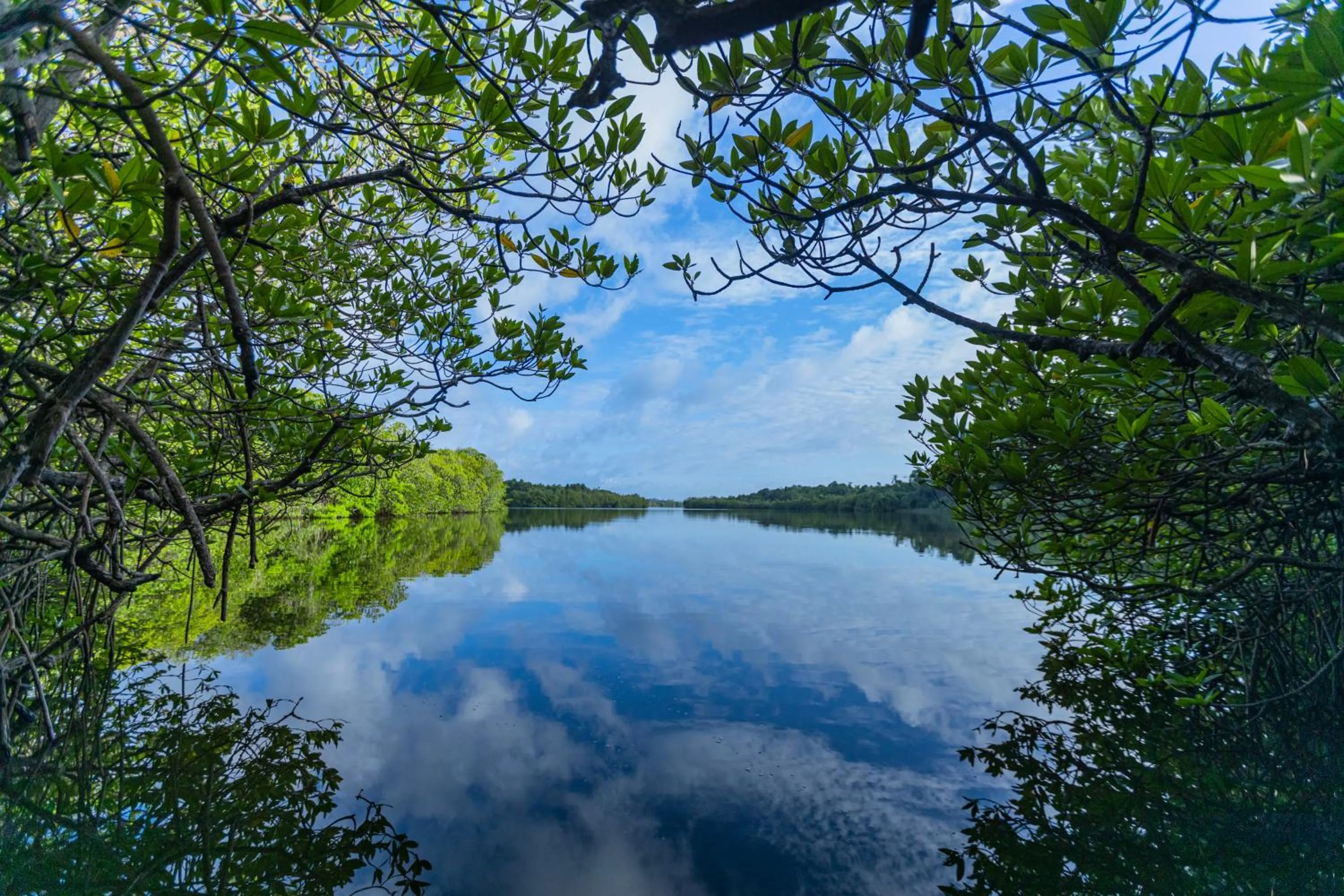 River view in THE Mangrove cave Hotel