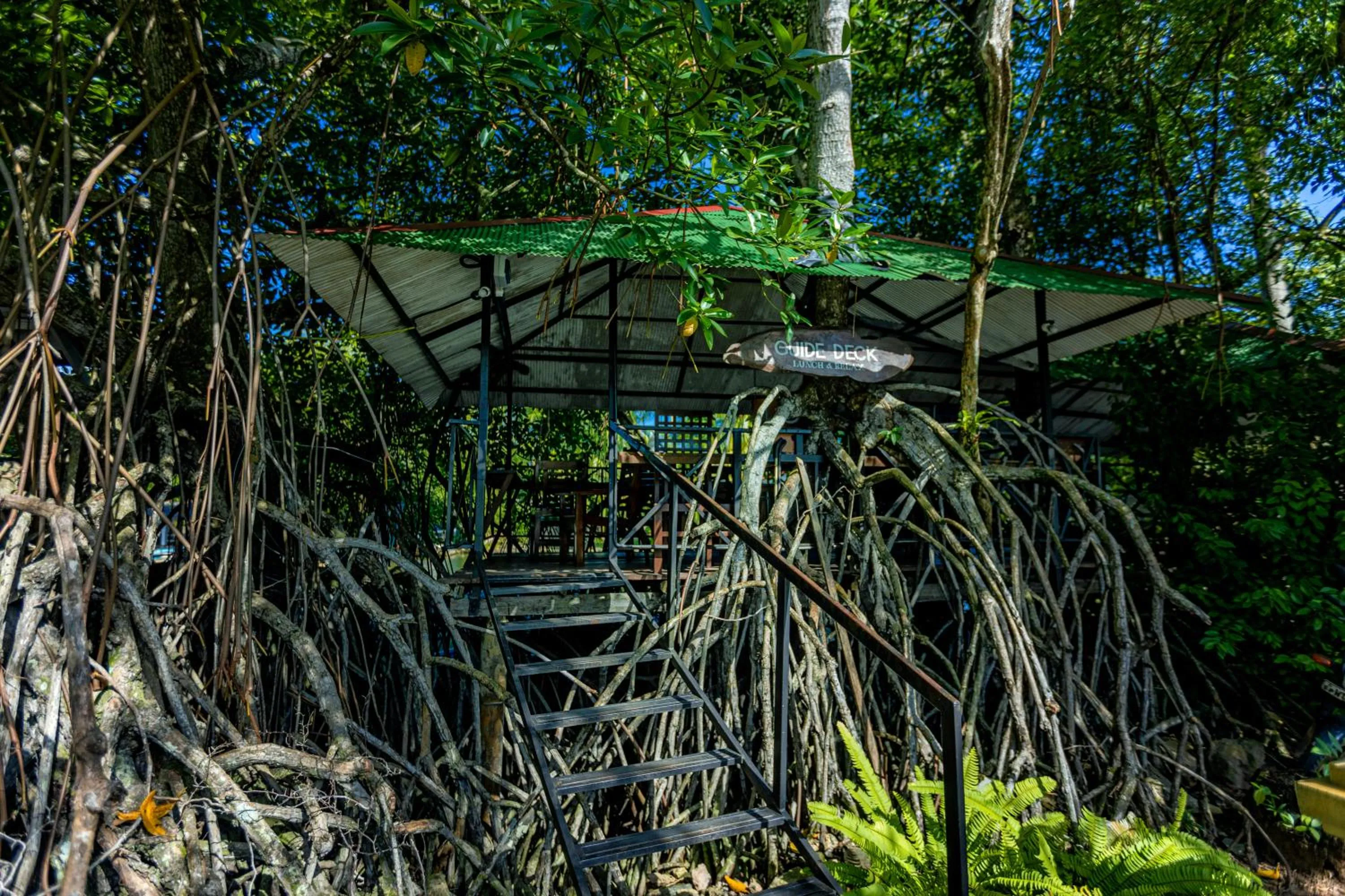 THE Mangrove cave Hotel