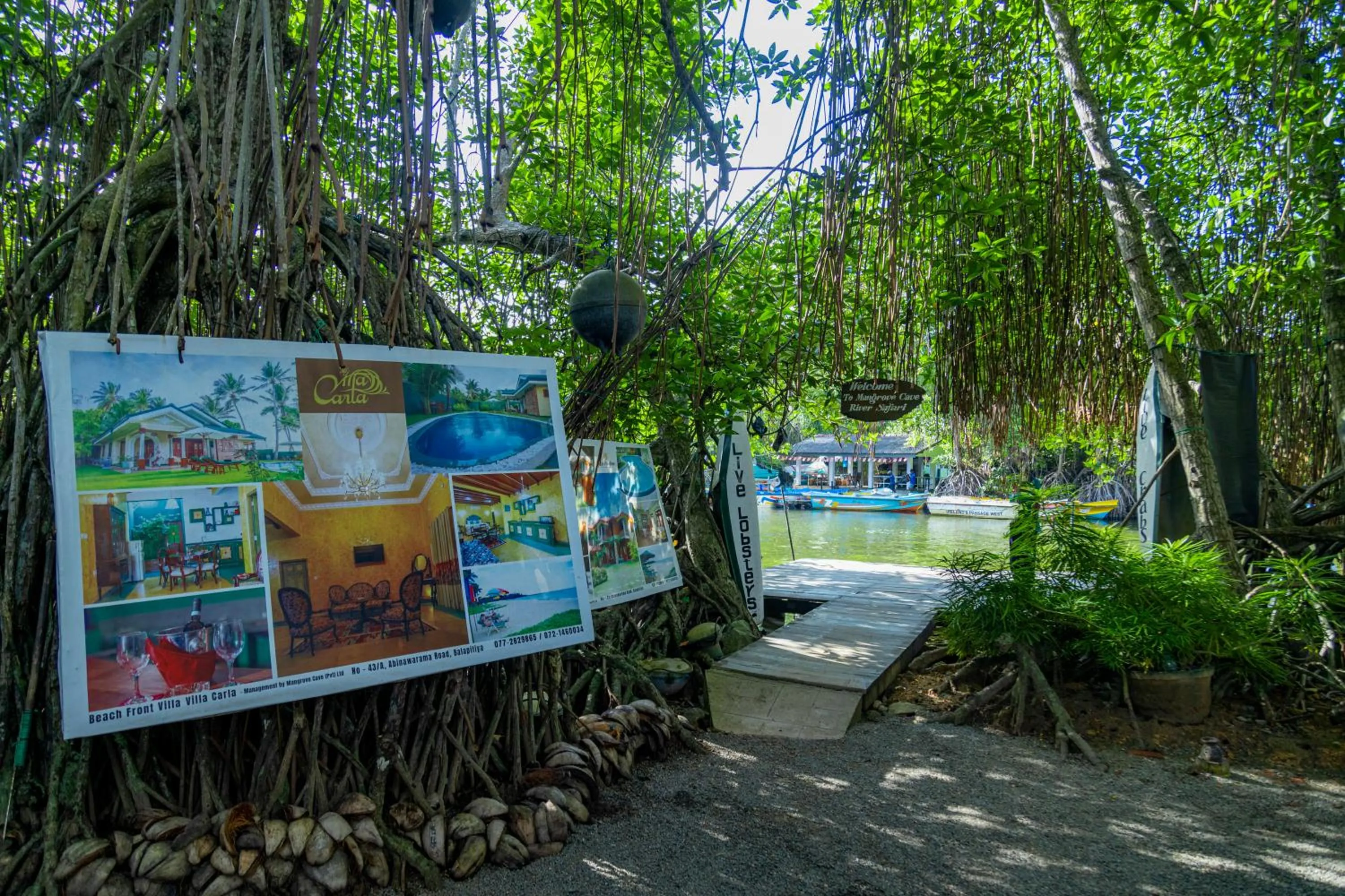 THE Mangrove cave Hotel