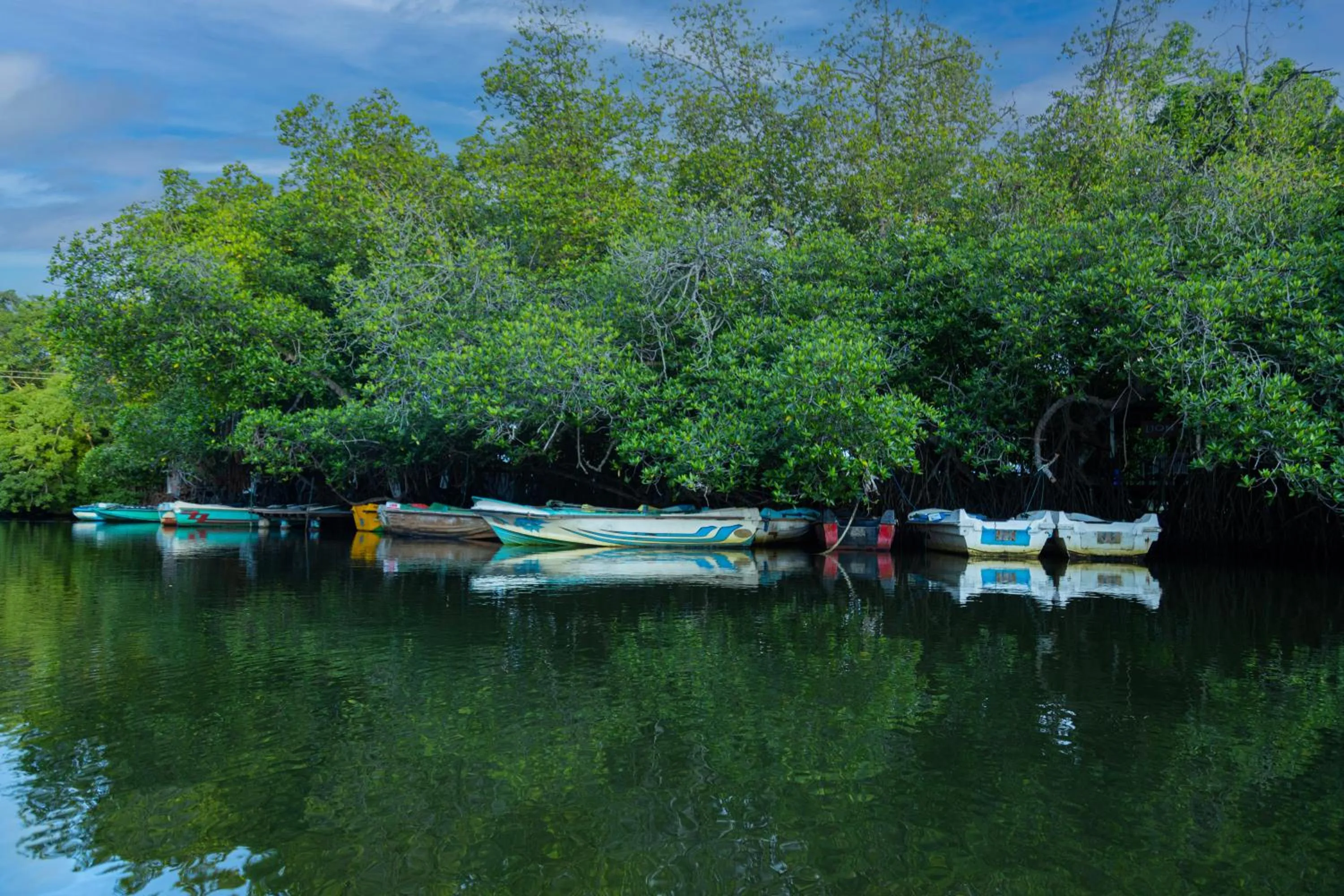 Natural landscape in THE Mangrove cave Hotel