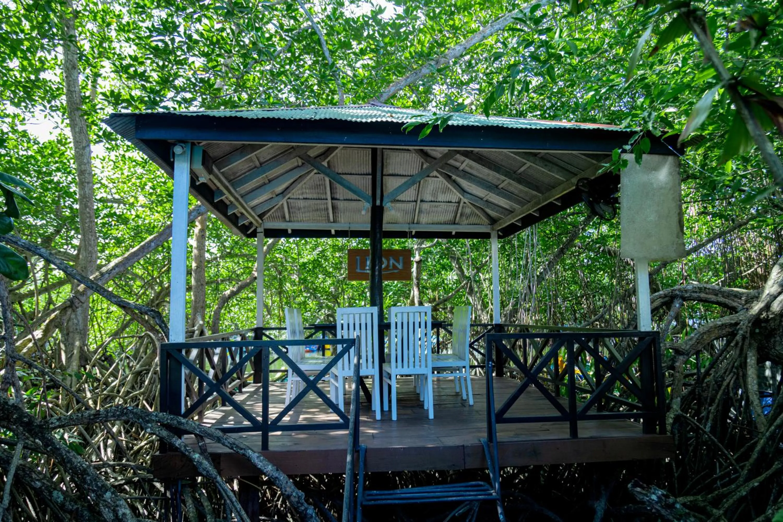 THE Mangrove cave Hotel