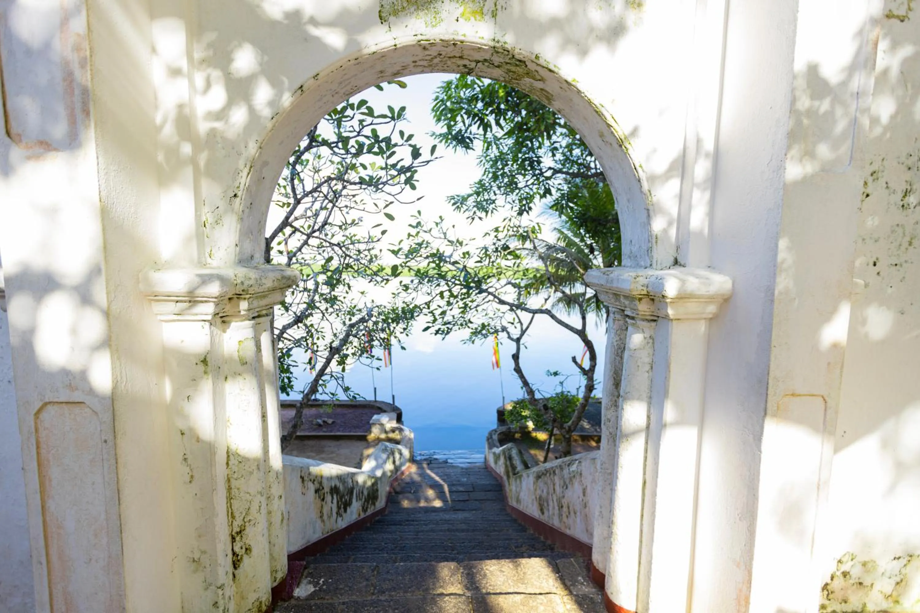 Natural landscape in THE Mangrove cave Hotel