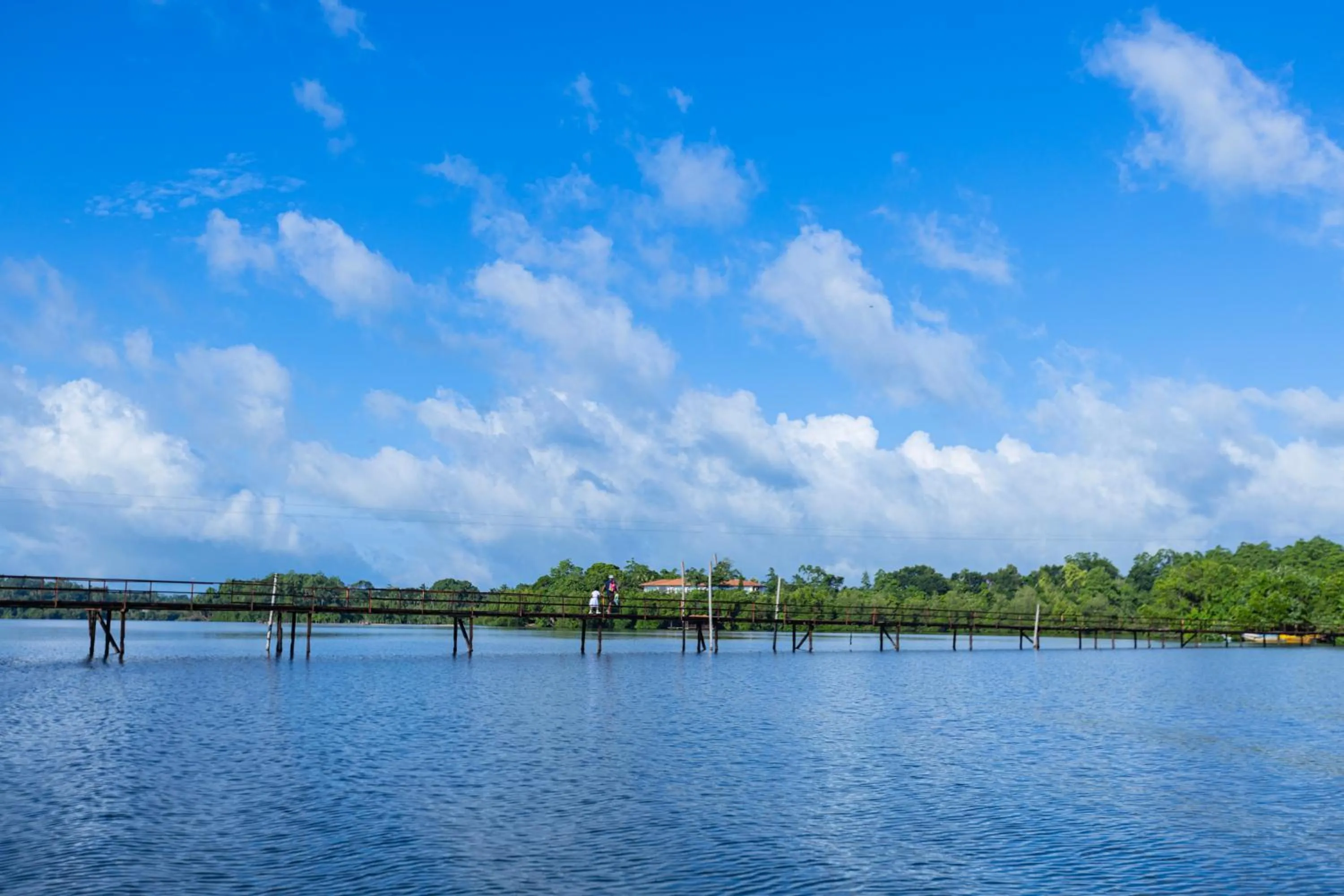 River view in THE Mangrove cave Hotel