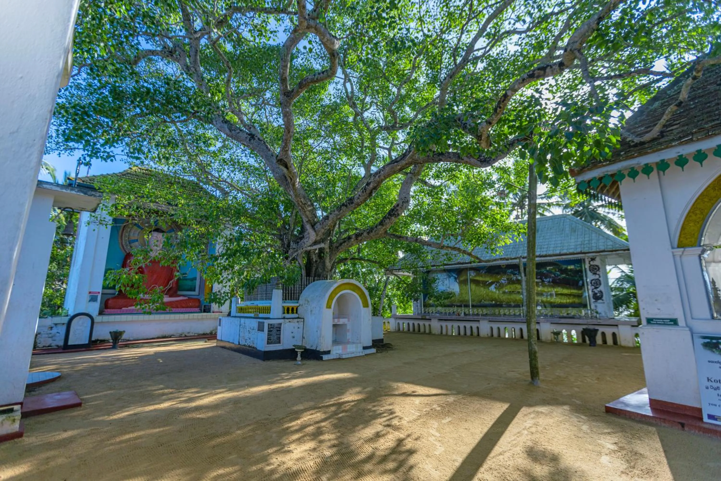 THE Mangrove cave Hotel