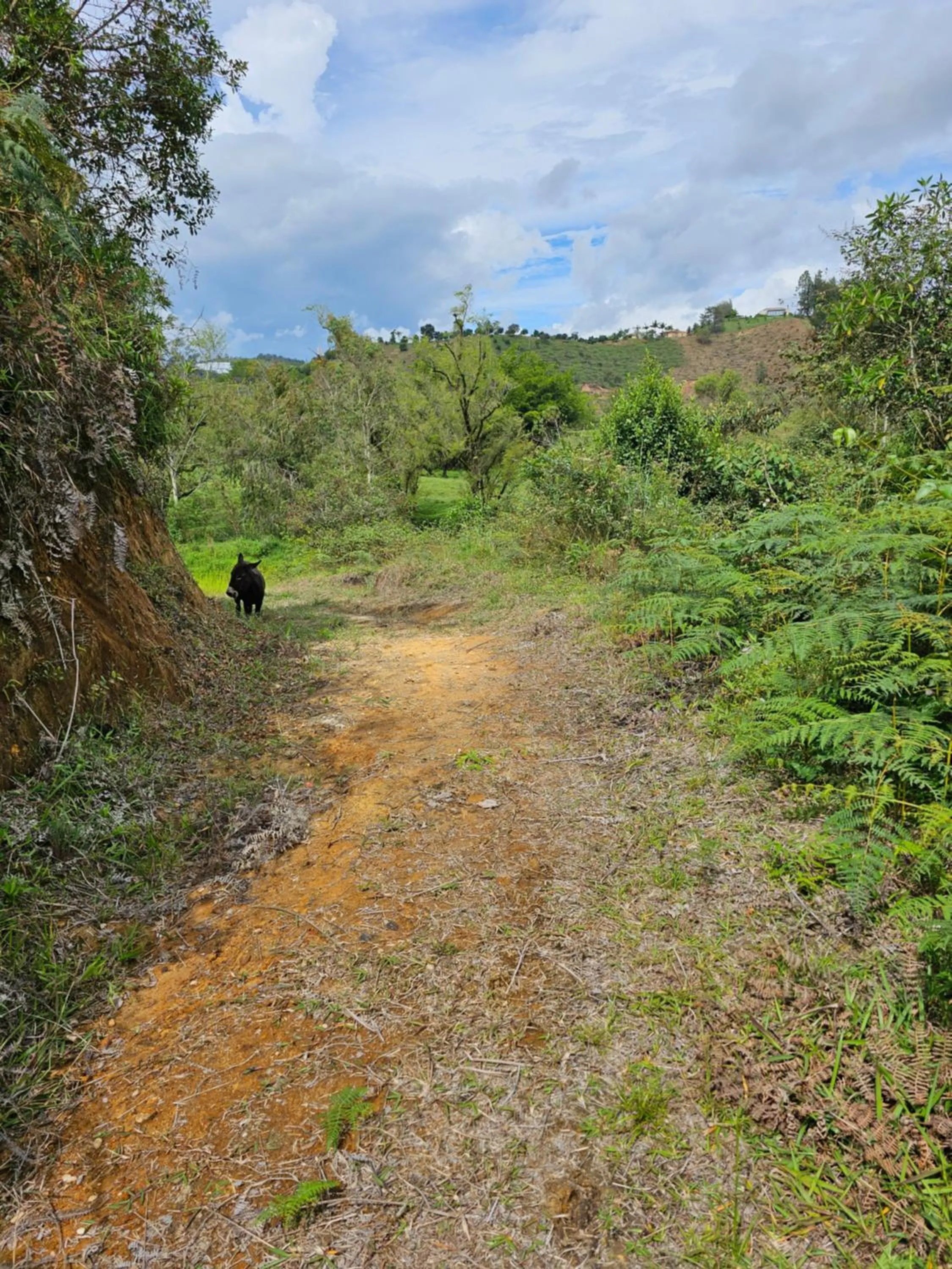 Hiking in HOSTERÍA BRISAS DEL RÍO