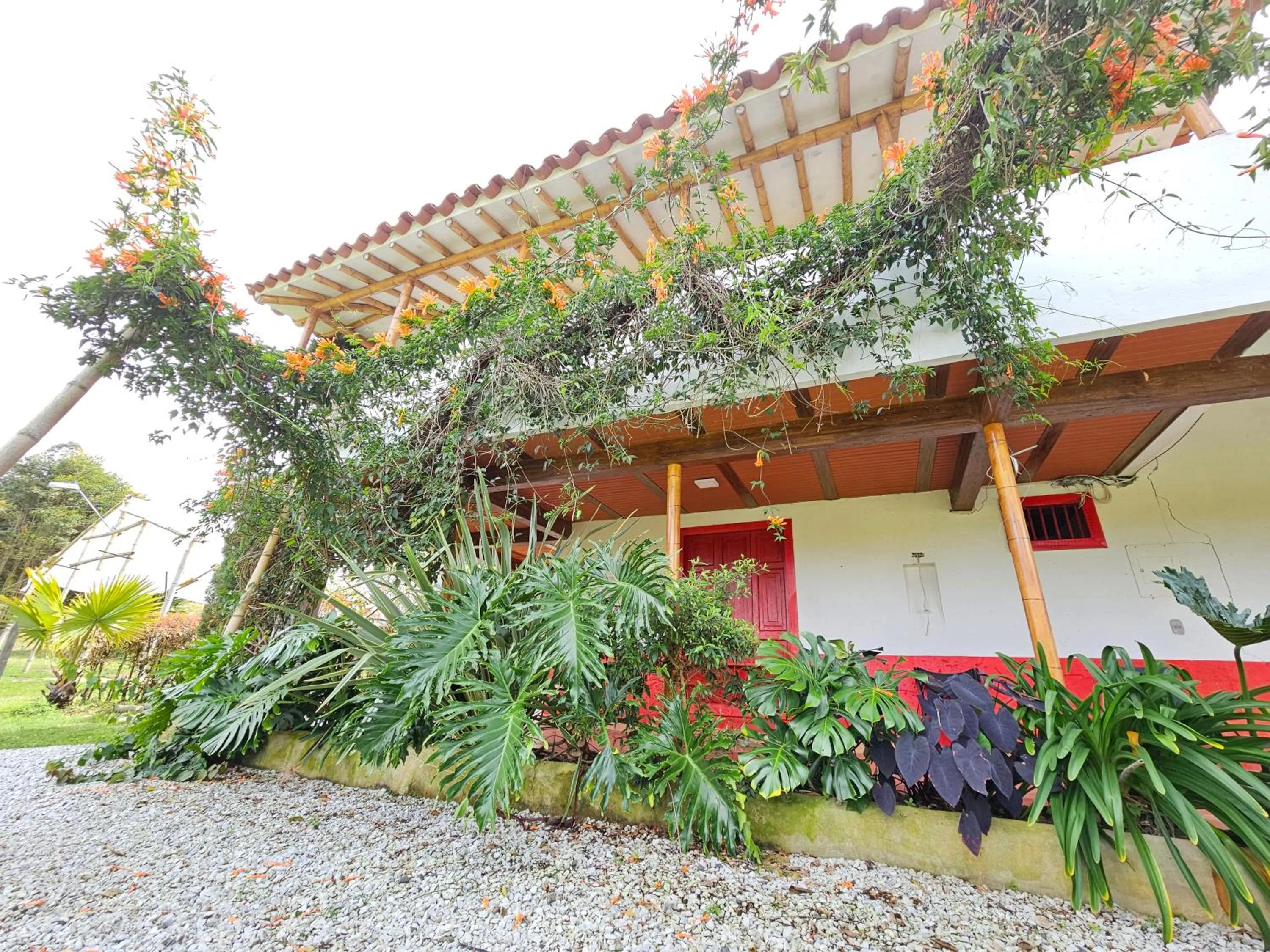 Garden in HOSTERÍA BRISAS DEL RÍO