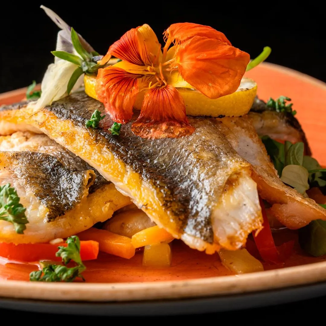 Food in Hotel TQ Plaza